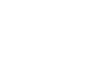Big Trip logo