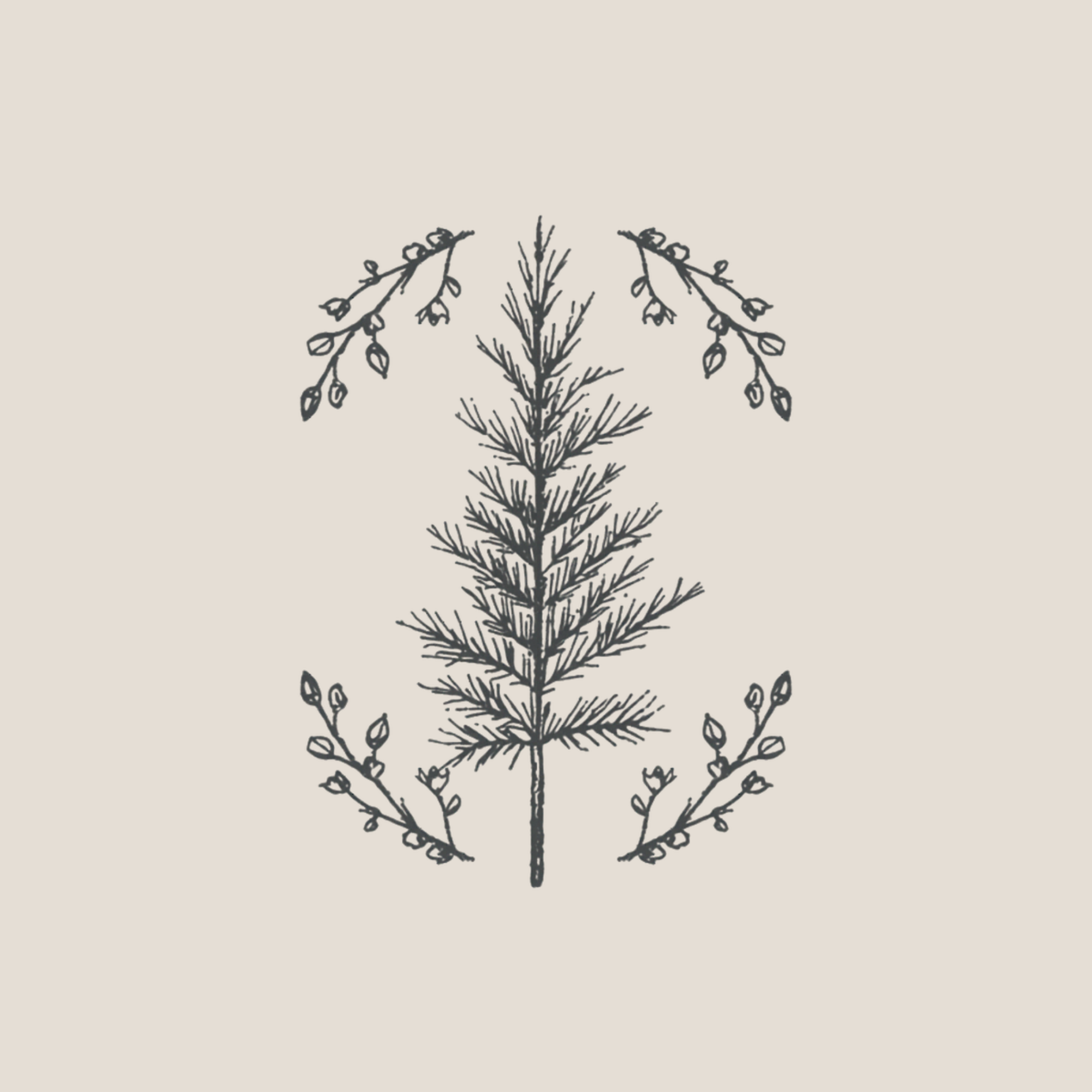 Black line drawing of a pine tree in the center, surrounded by two branches with small leaves and buds at the top and bottom, on a light beige background.
