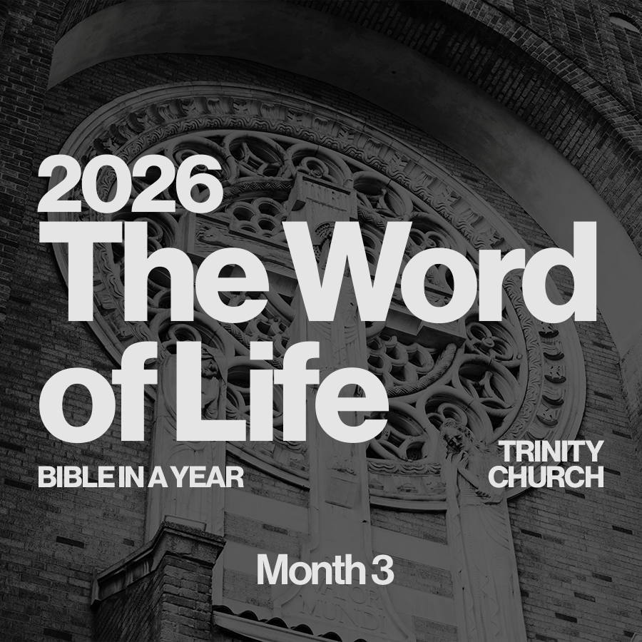 BIBLE IN A YEAR THUMB_m3.png