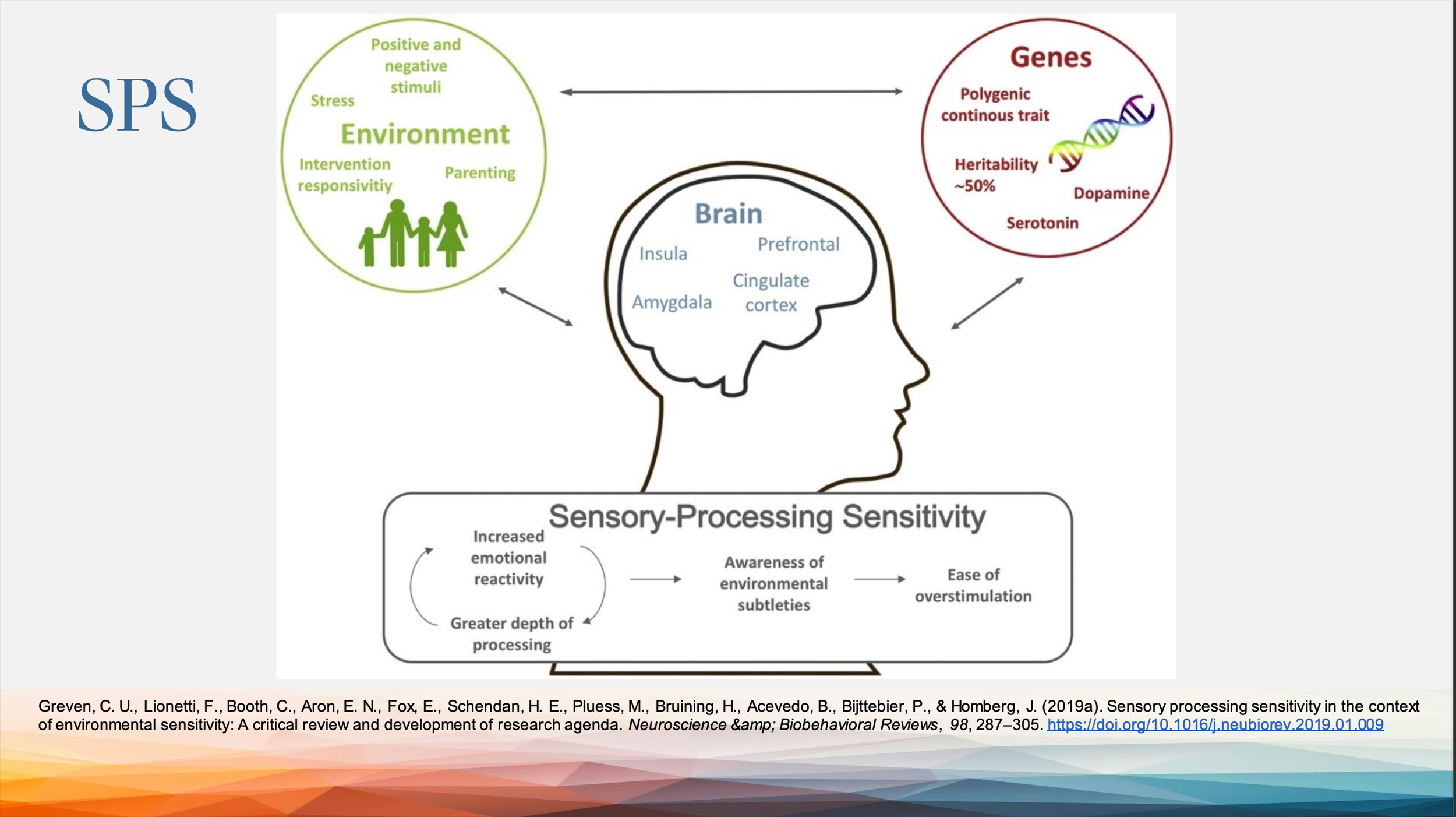 Adapted from original presentation at Moraine Valley Community College (2024) on neurodiversity, sensory processing, and patterns of responses across educational and workplace settings.