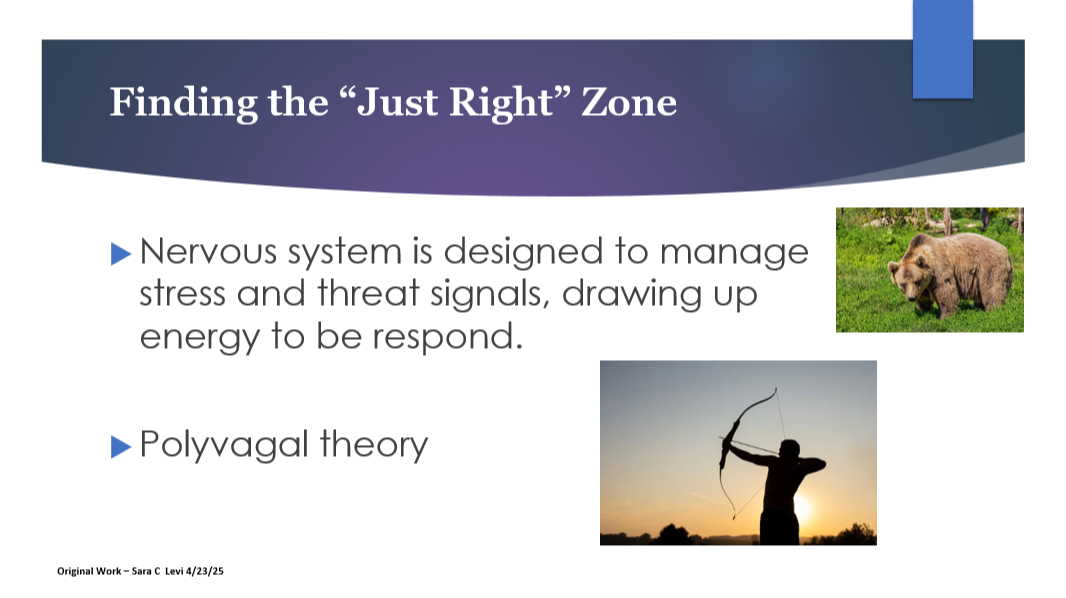 Drawn from original presentations and trainings in higher education (Waubonsee Community College, 2025) and community settings focused on mental health, stress, and trauma-informed support.