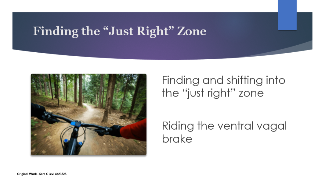 Drawn from original presentations and trainings in higher education (Waubonsee Community College, 2025) and community settings focused on mental health, stress, and trauma-informed support.