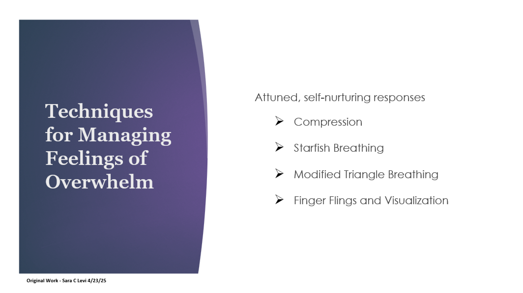 Drawn from original presentations and trainings in higher education (Waubonsee Community College, 2025) and community settings focused on mental health, stress, and trauma-informed support.
