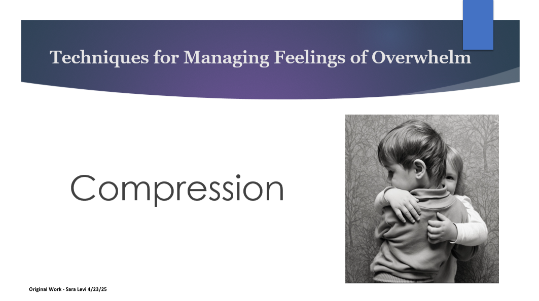 Drawn from original presentations and trainings in higher education (Waubonsee Community College, 2025) and community settings focused on mental health, stress, and trauma-informed support.