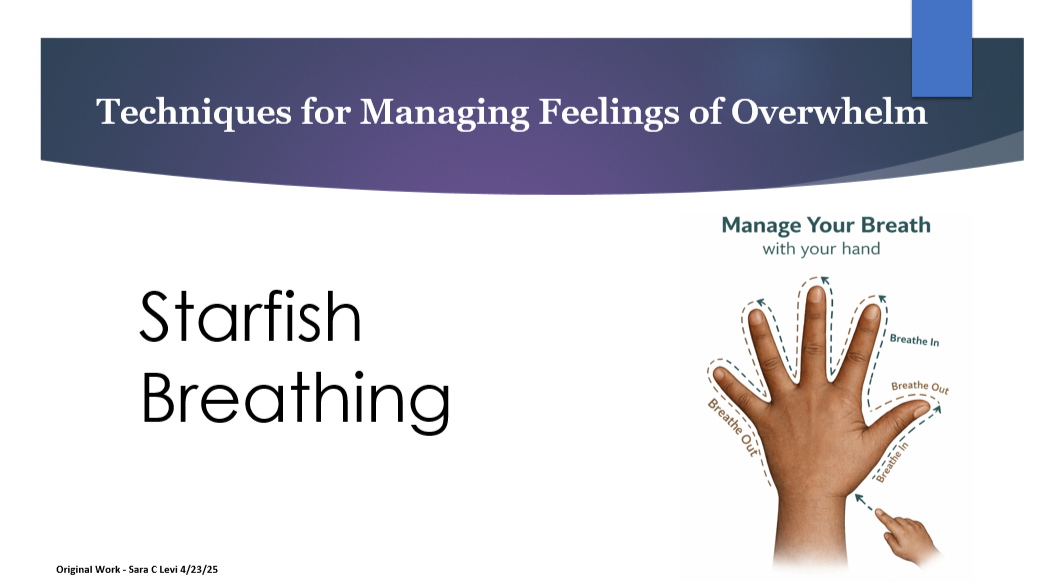 Drawn from original presentations and trainings in higher education (Waubonsee Community College, 2025) and community settings focused on mental health, stress, and trauma-informed support.