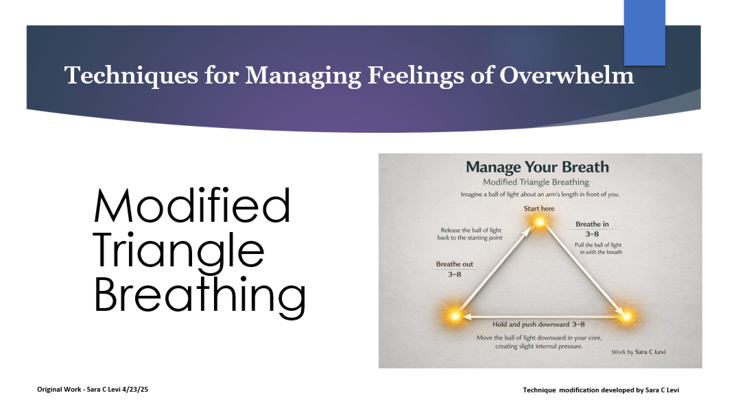 Drawn from original presentations and trainings in higher education (Waubonsee Community College, 2025) and community settings focused on mental health, stress, and trauma-informed support.