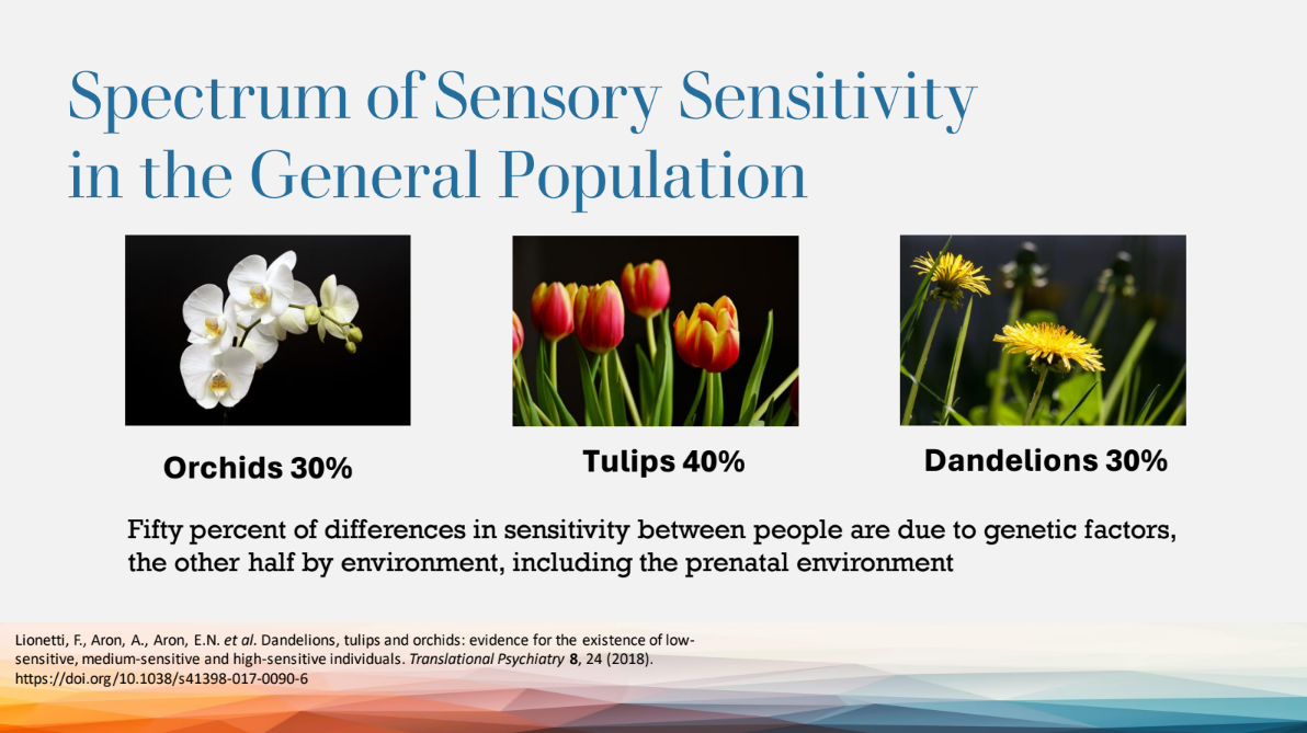 Adapted from original presentation at Moraine Valley Community College (2024) on neurodiversity, sensory processing, and patterns of responses across educational and workplace settings.