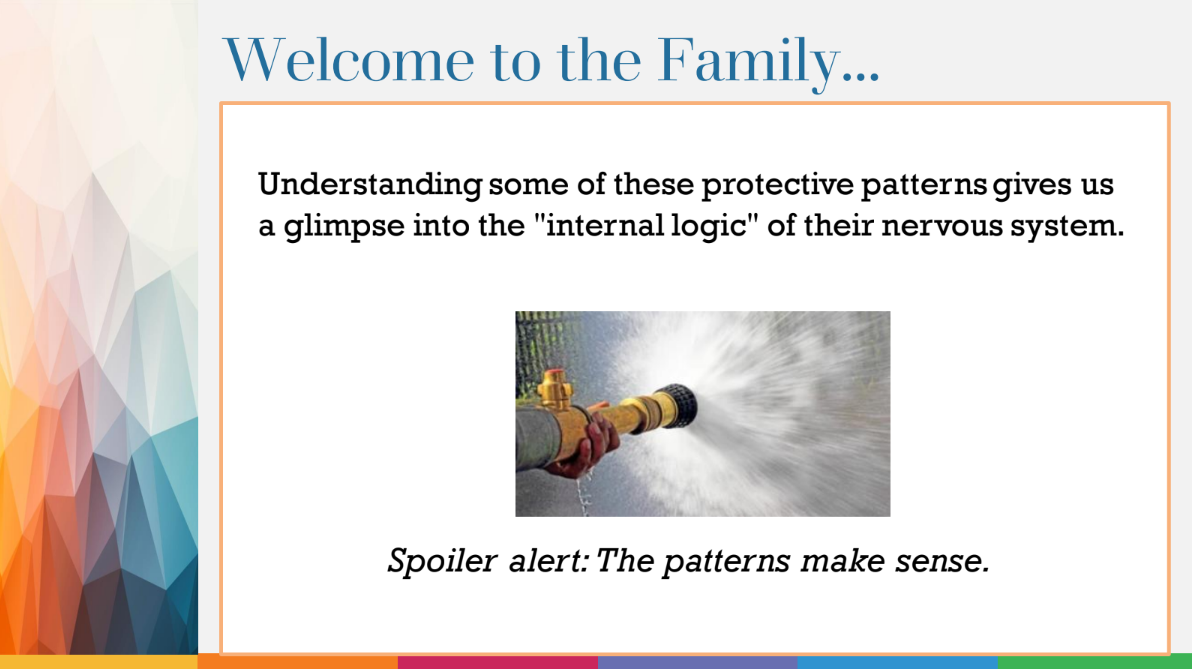 Adapted from original presentation at Moraine Valley Community College (2024) on neurodiversity, sensory processing, and patterns of responses across educational and workplace settings.