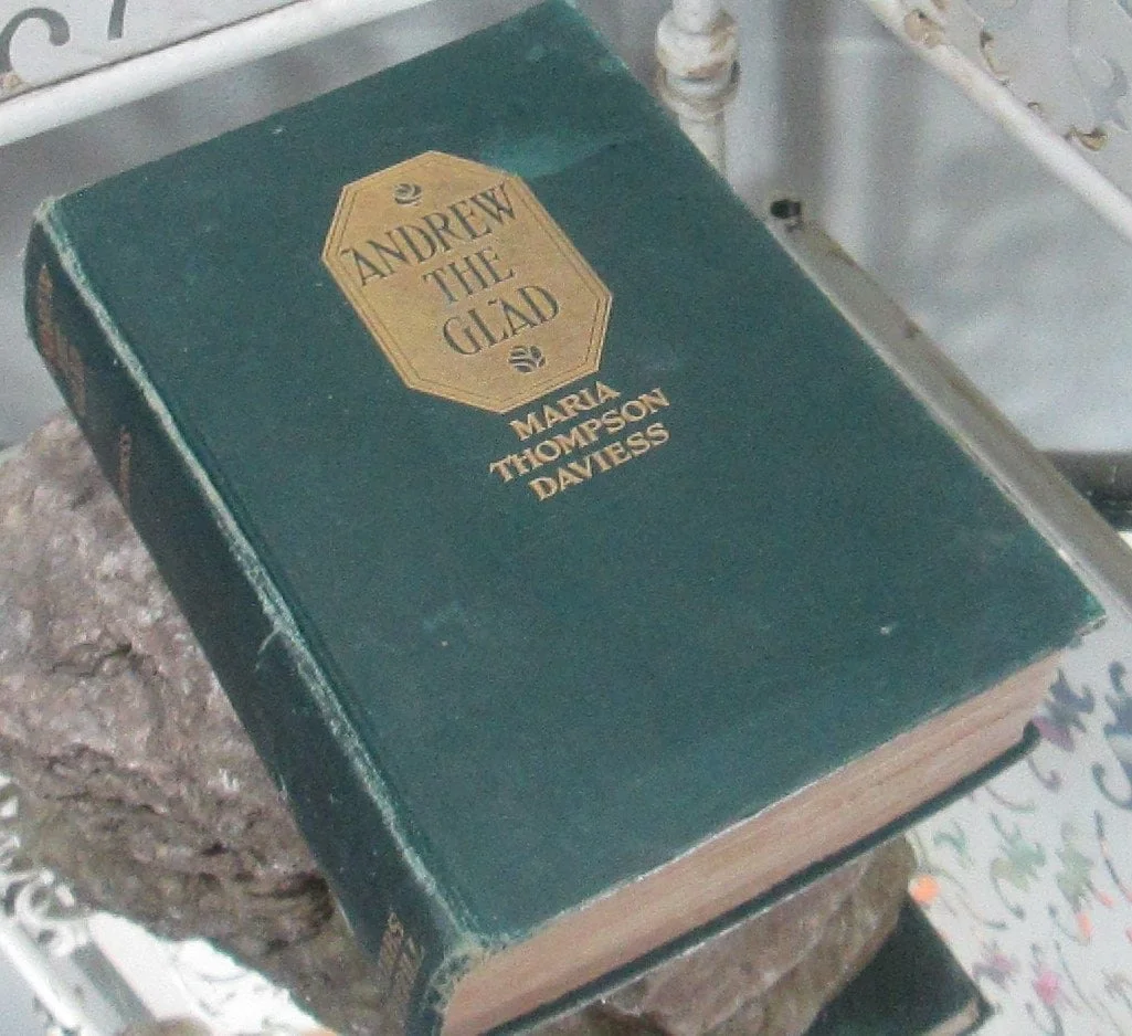 Andrew the Glad by Maria Thompson Daviess, 1913