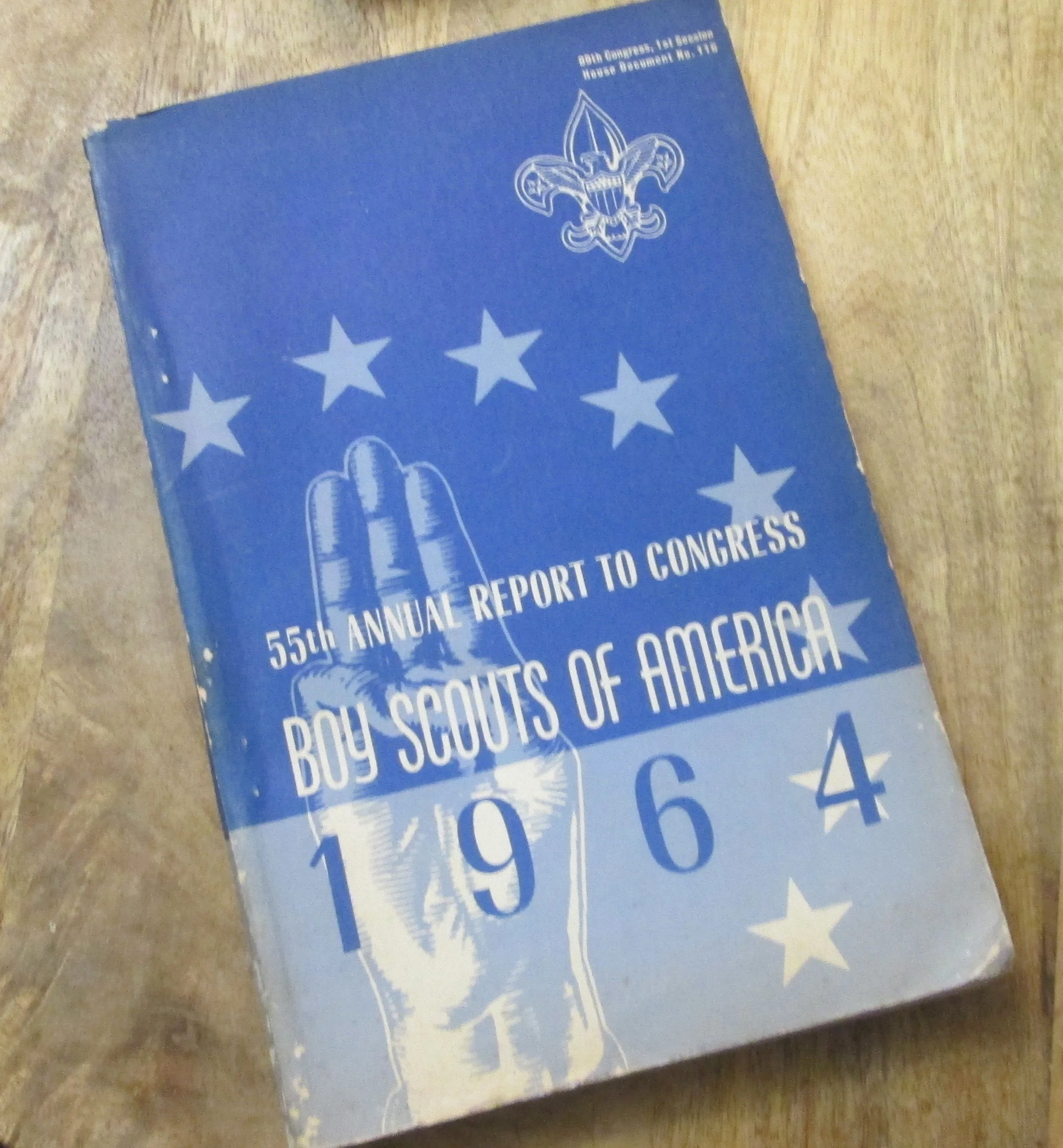 Boy Scouts 1964 55th Annual Report to Congress