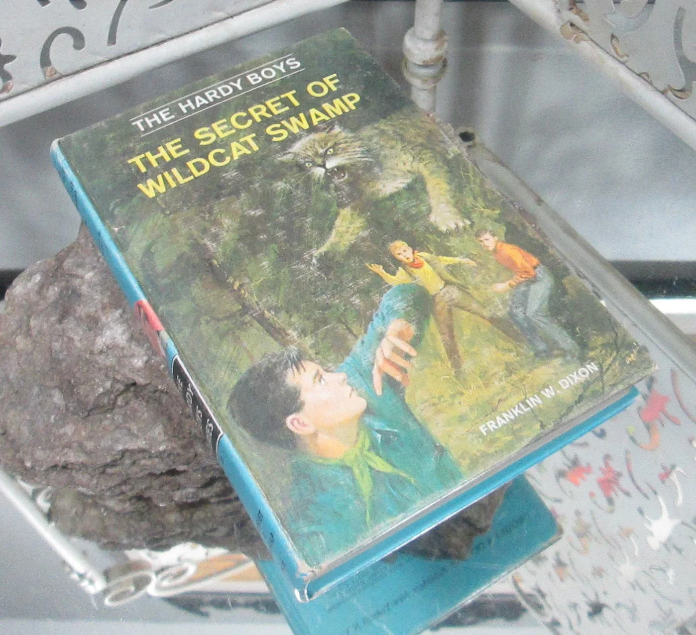 Hardy Boys The Secret of Wildcat Swamp #31 Vintage Book