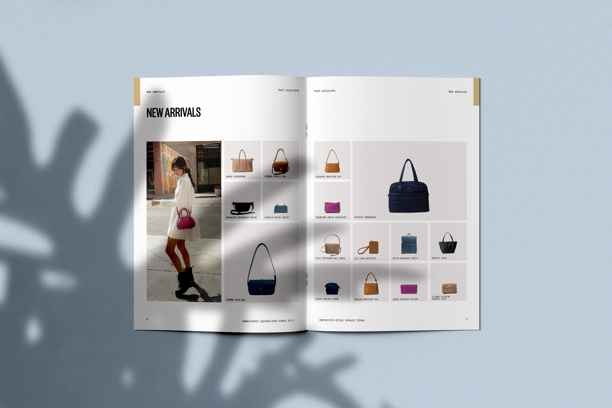 Brochure and Catalog Mockup 02_2.png