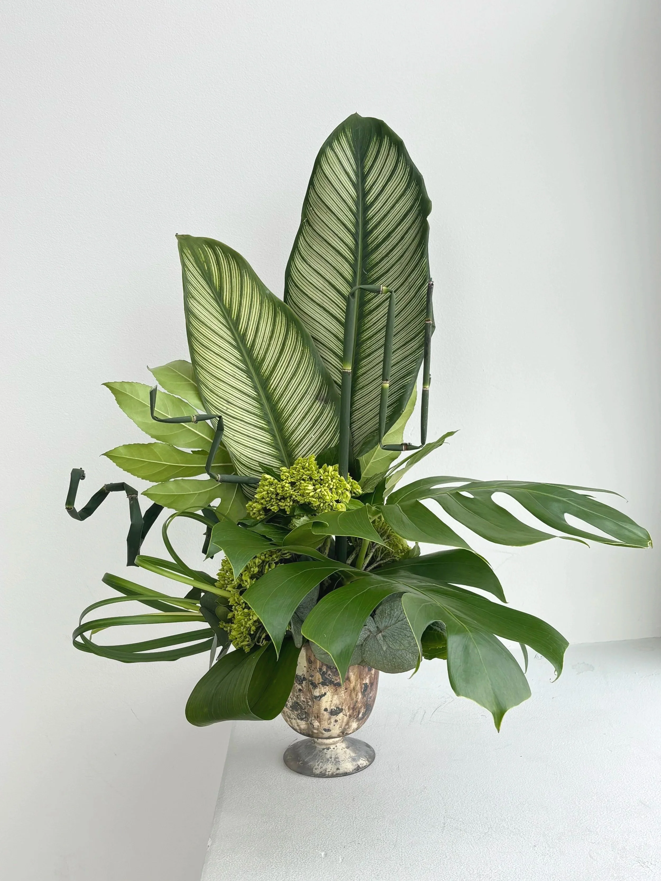 FOLIAGE ARRANGEMENT
