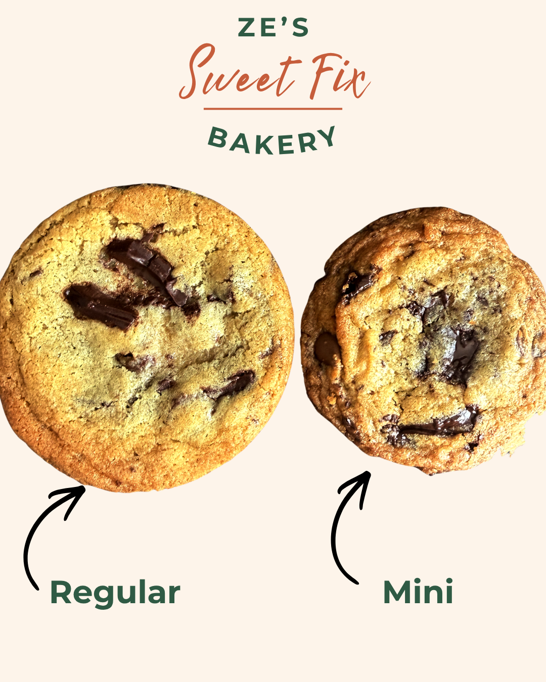 Regular Size.png