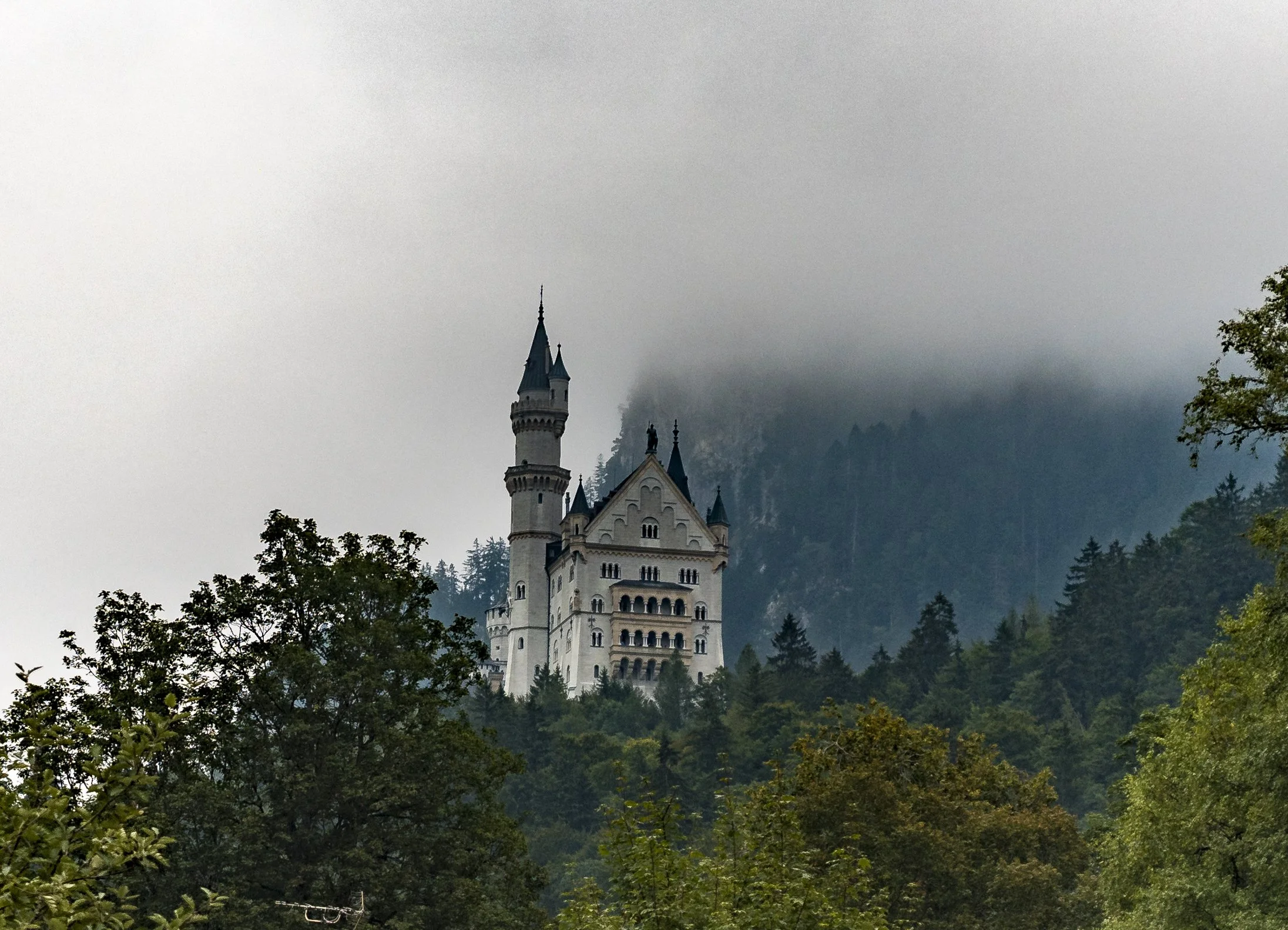 P1070005.jpg