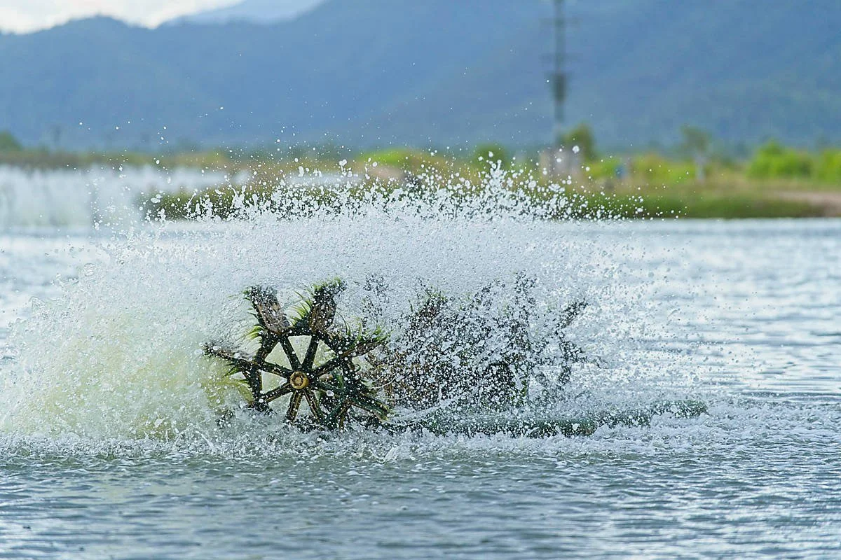 -lg28356-1200x800.jpg