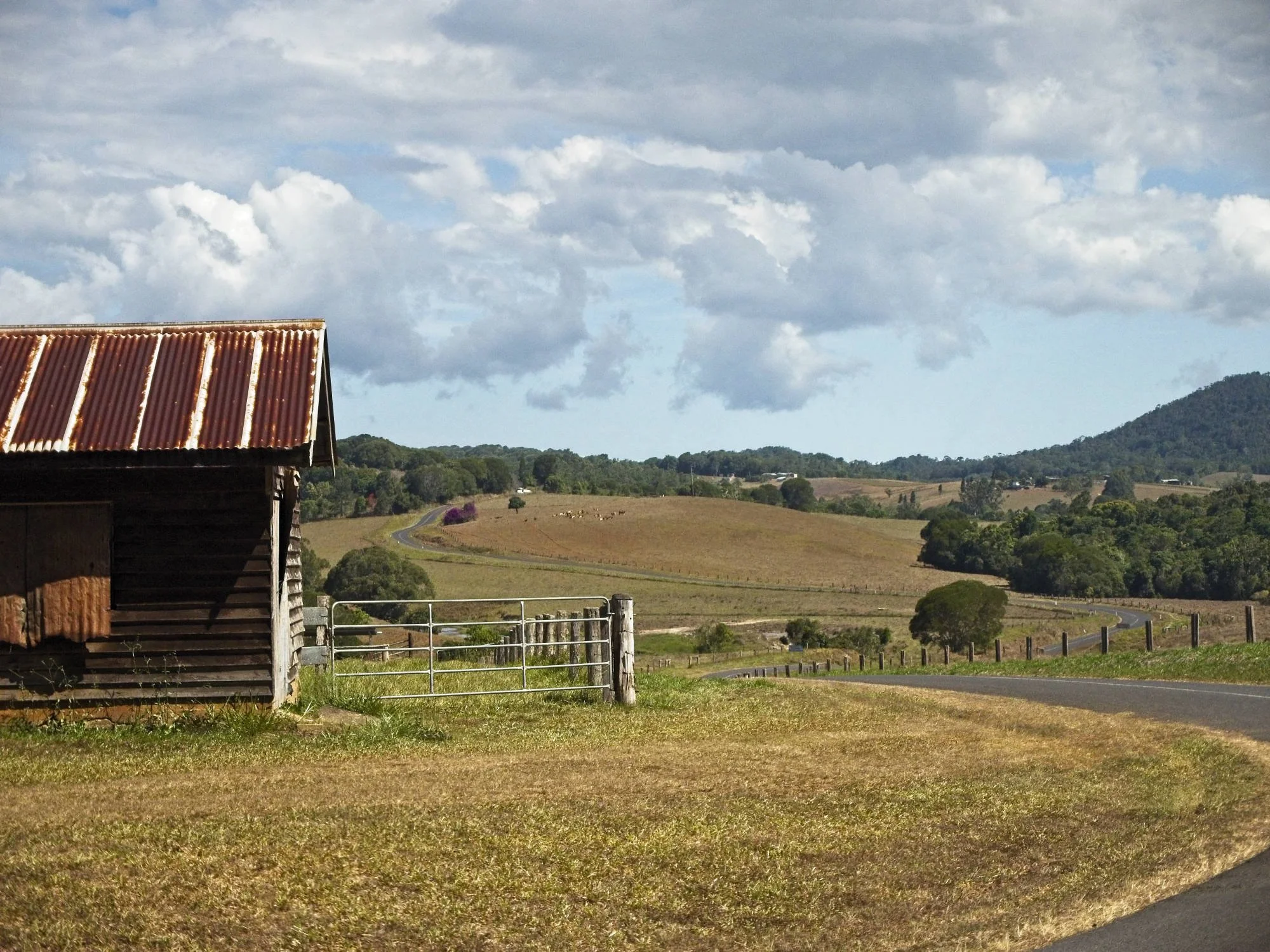 p1210532-2000x1500.jpg