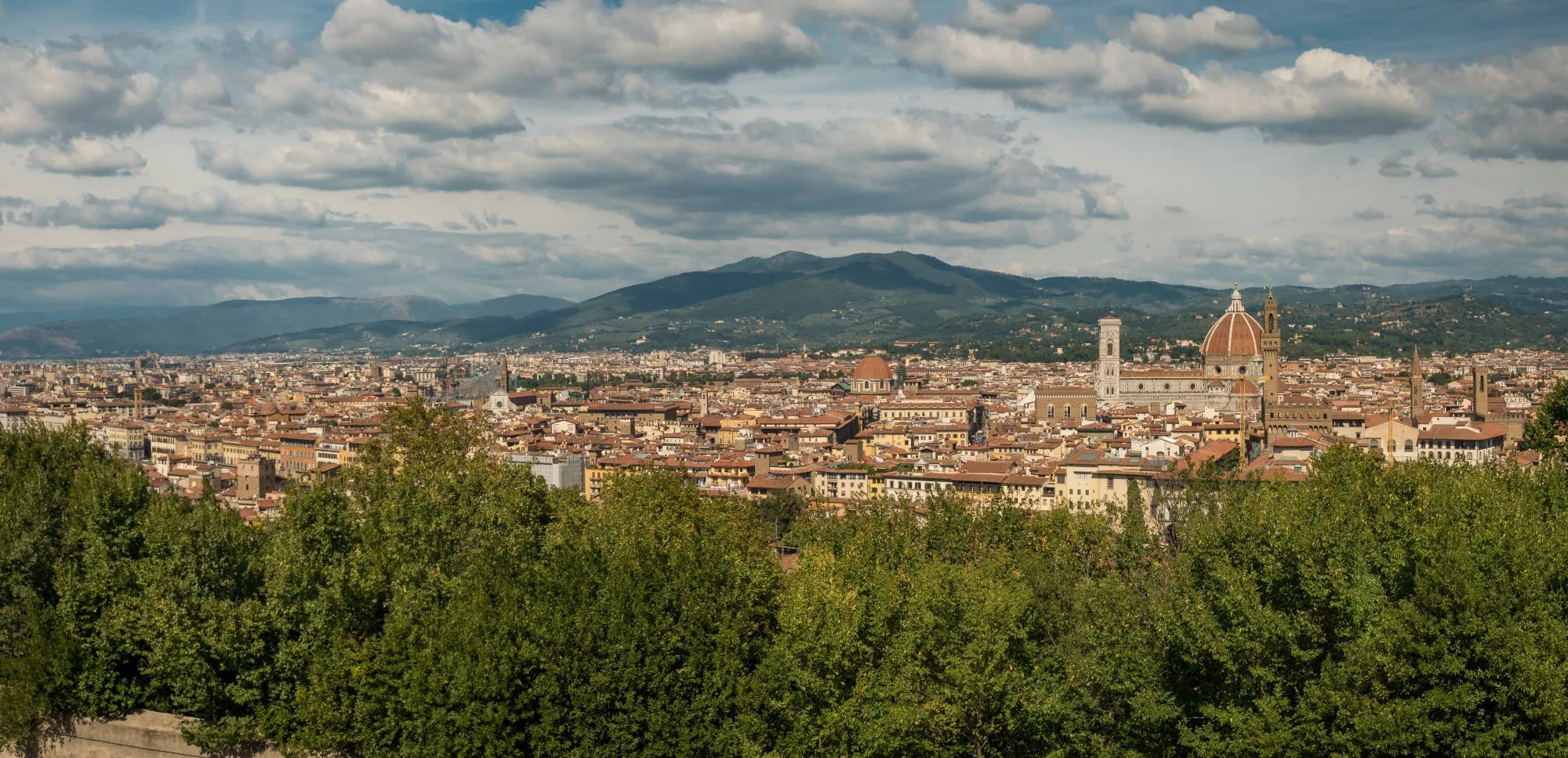 p1100152-pano-2000x967.jpg