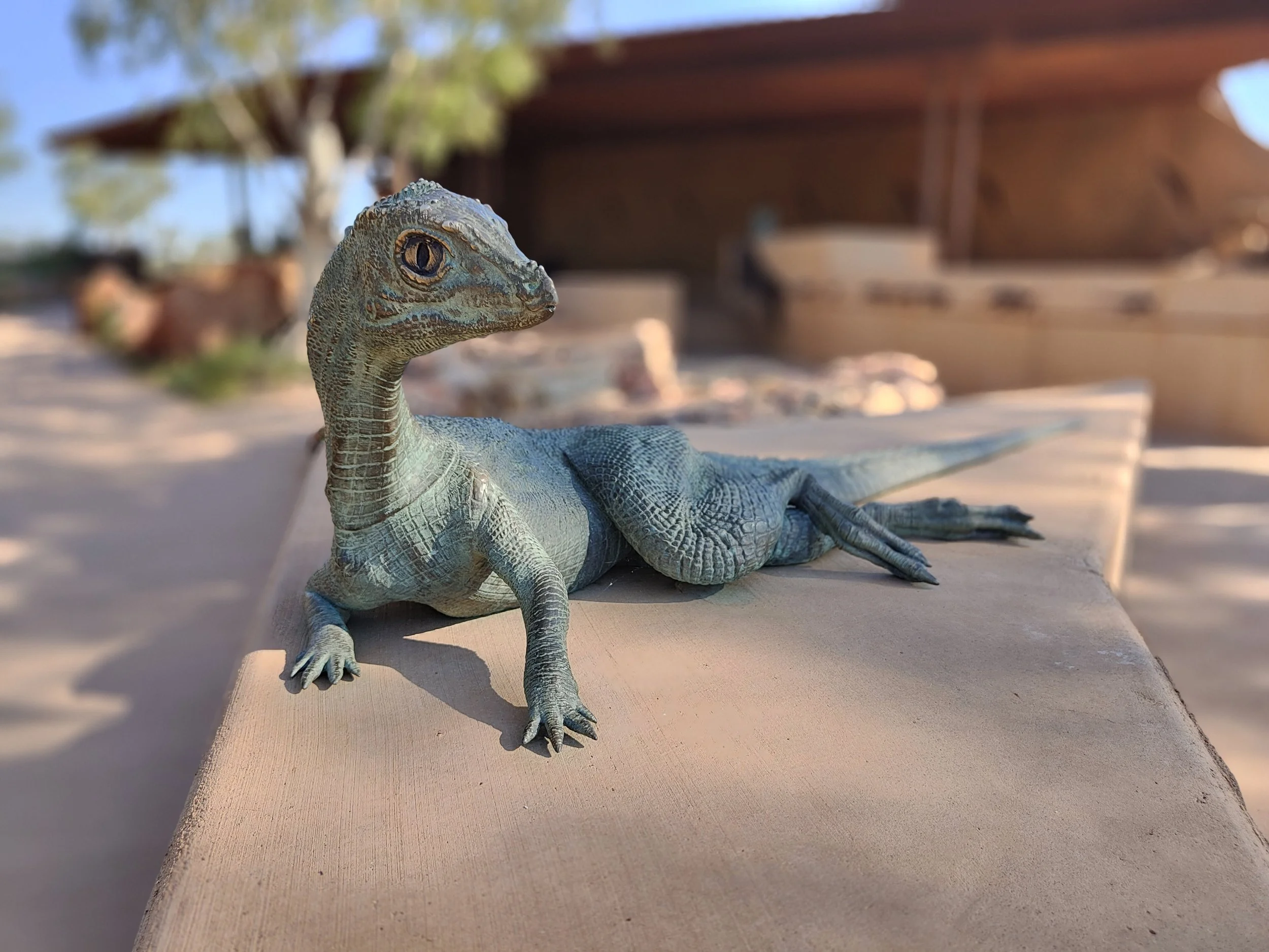 Close-up of a blue-green lizard resting on a wood surface outdoors, with blurred background of trees and boats.