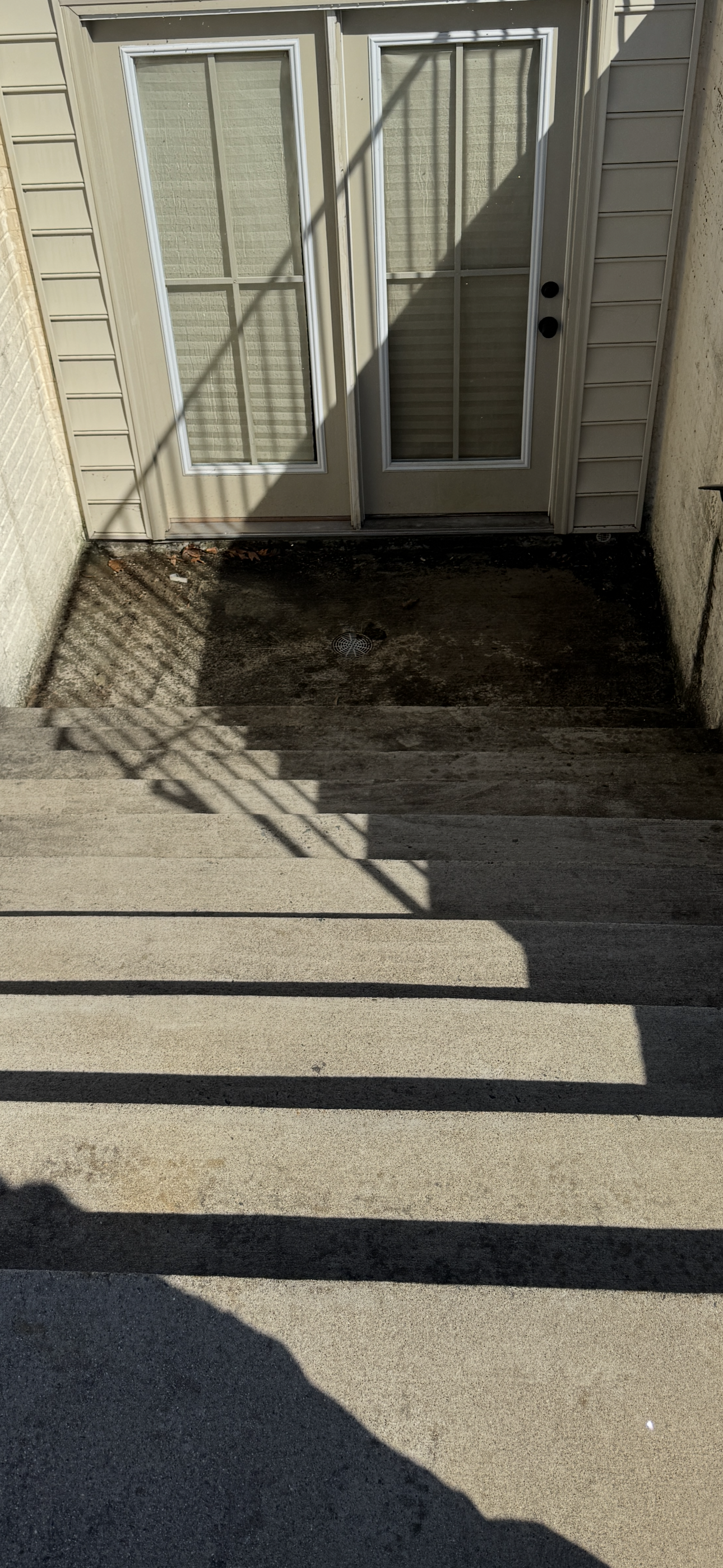 IMG_3204.png