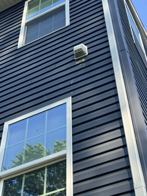 bird poop siding.jpeg