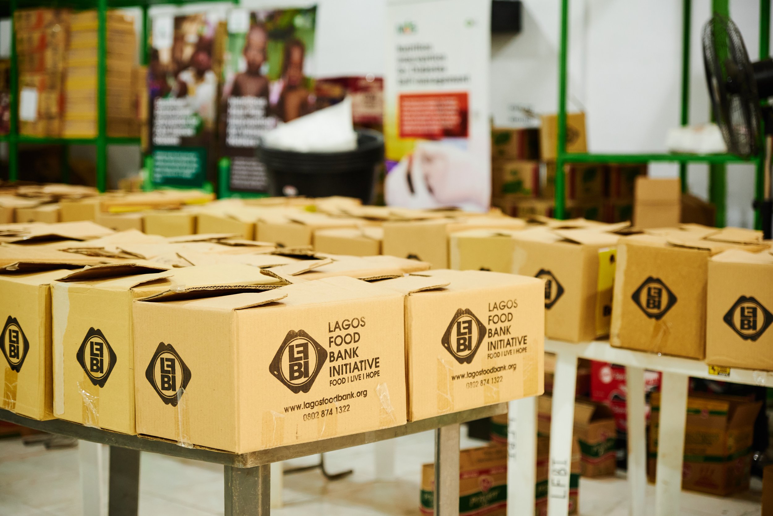 Nonprofit Client | Branding & Fundraising Campaign
