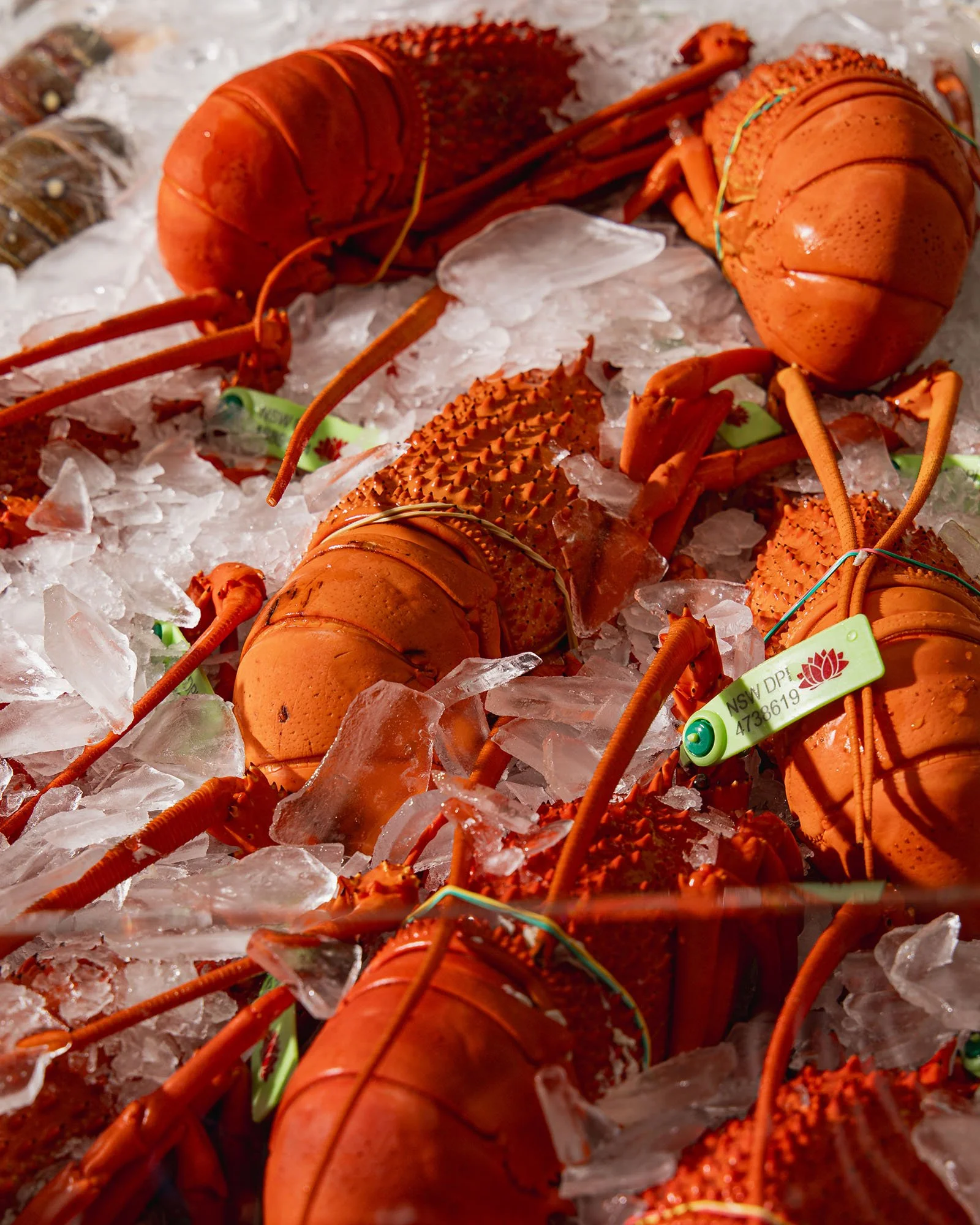 Peter_s_&_Nicholas_Jul25_Credit_Jorge_Santos-269.jpg
