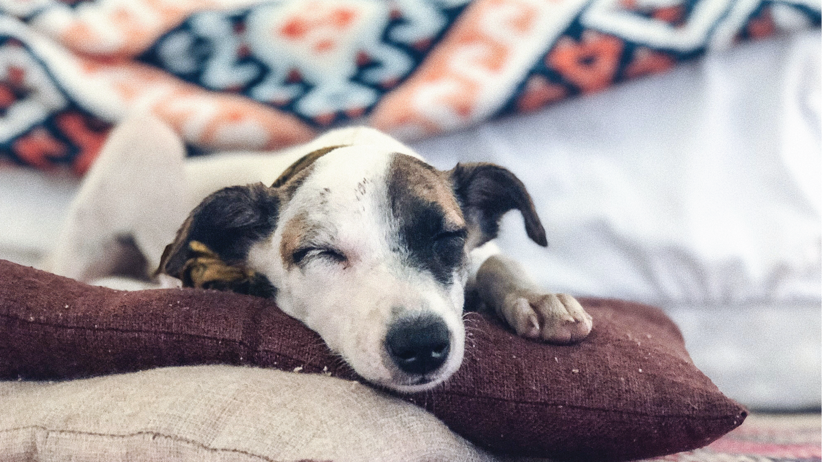 Safety Blanket Blog 2.png