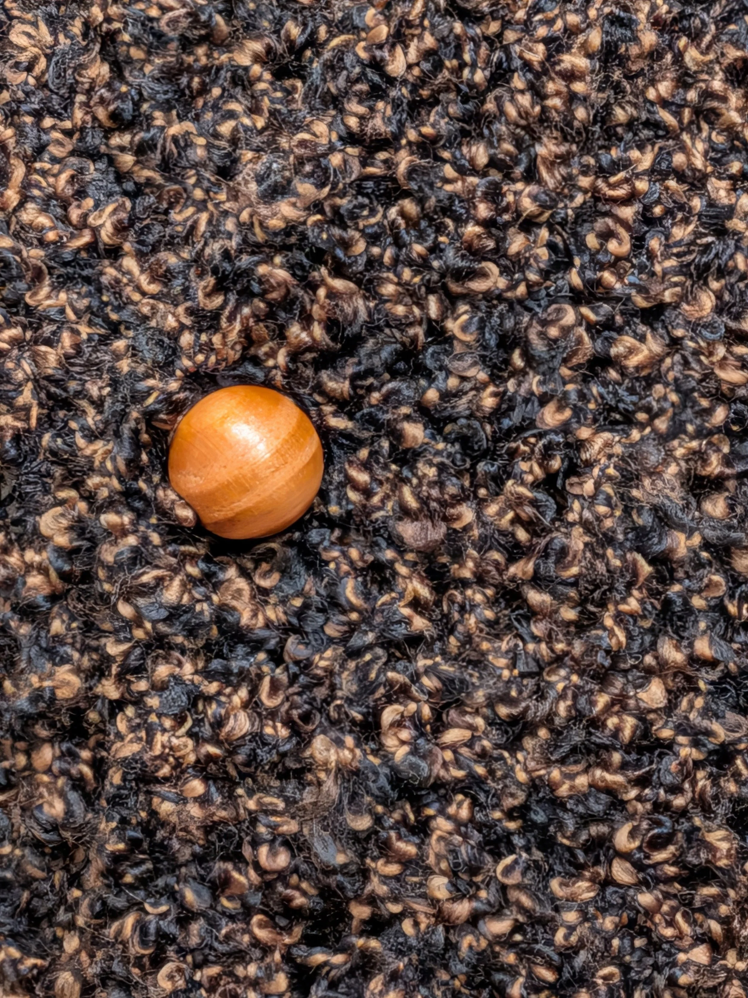 SCD_Quies-Luxuriae_Detail.jpg