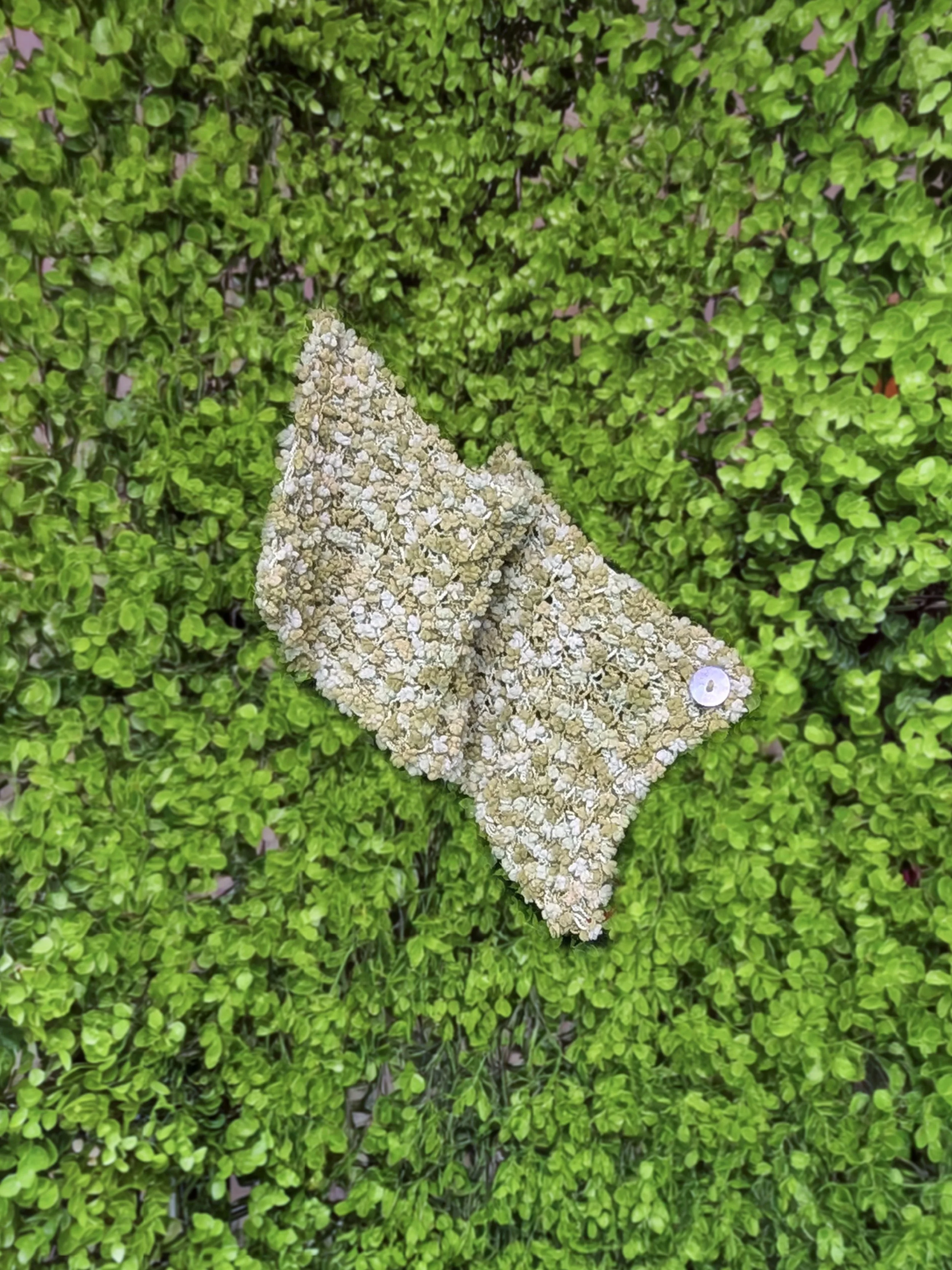 PC_Fresh-Moss_Full.jpg