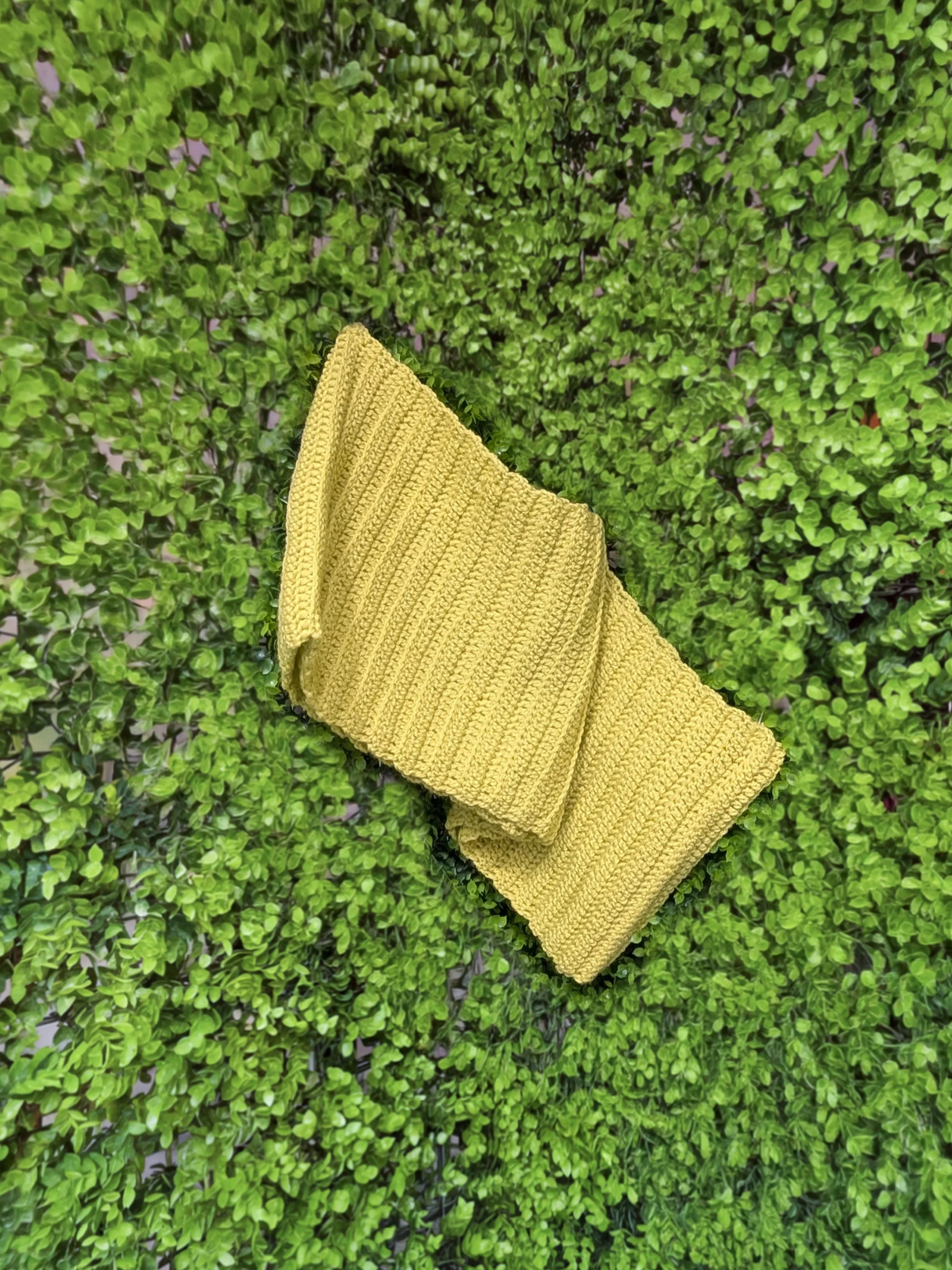 IS_Celery-Leaves_Full.jpg
