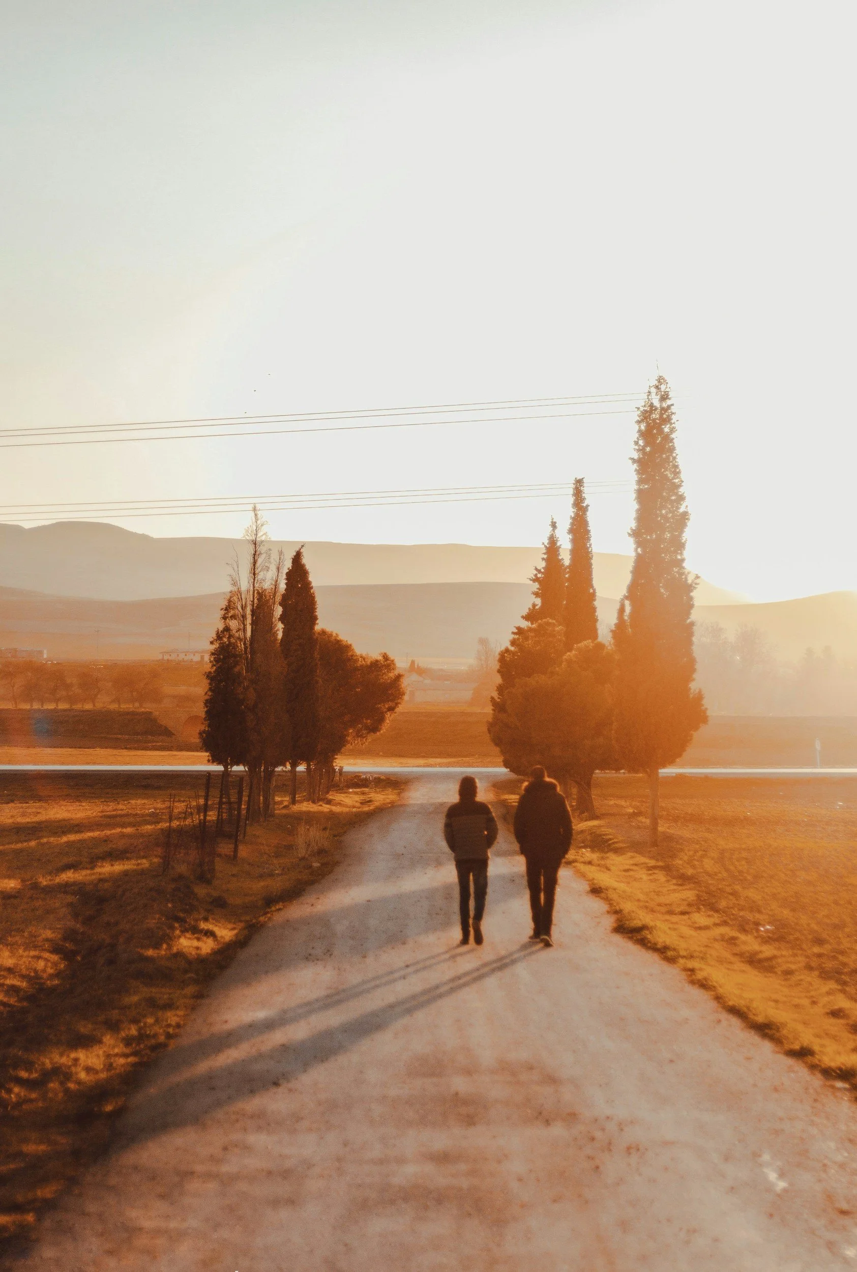 Two people walking down a dirt road lined with tall trees, with mountains and power lines in the background, during sunset.