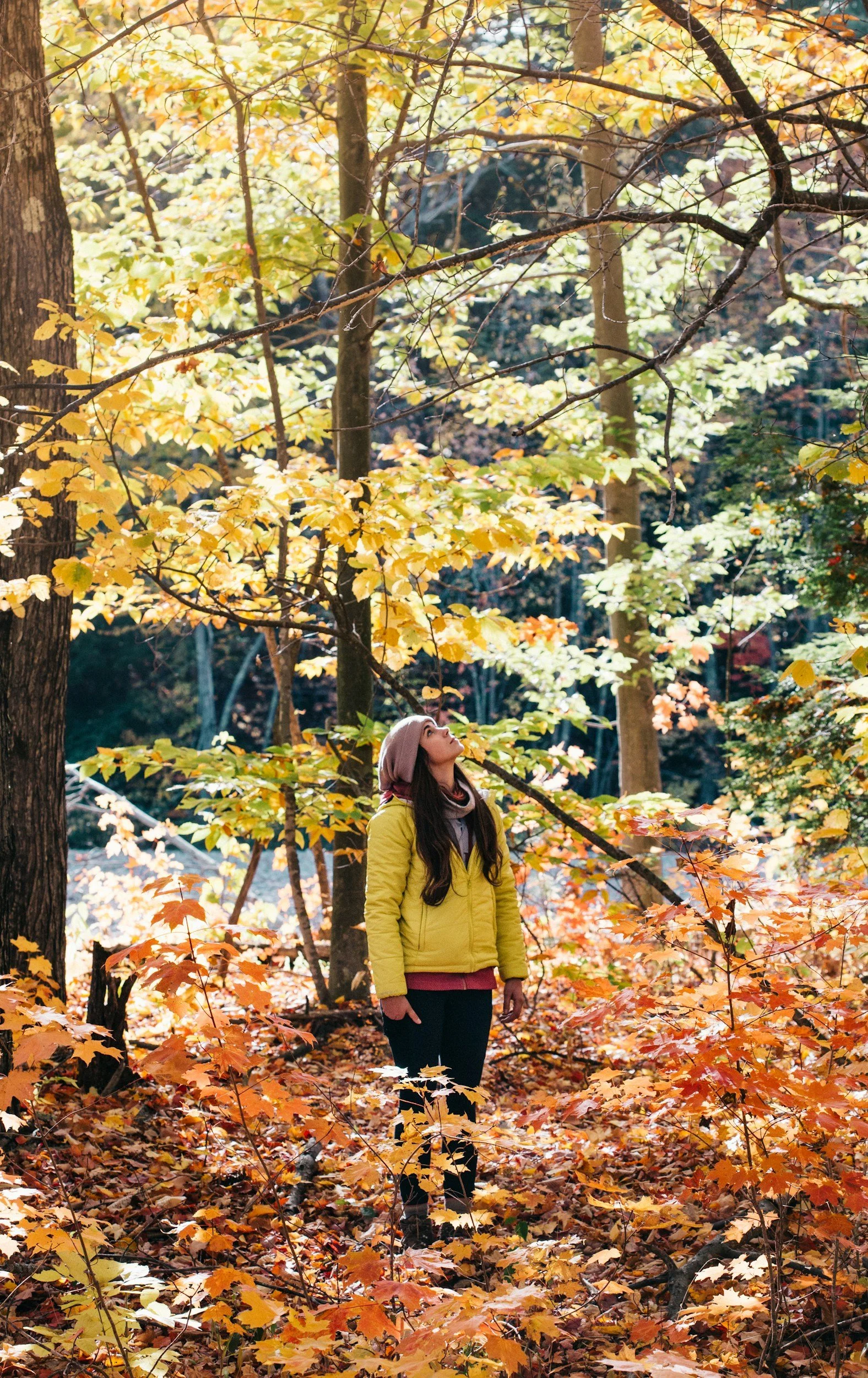A woman standing in an autumn forest with colorful fall leaves, looking up at the trees.