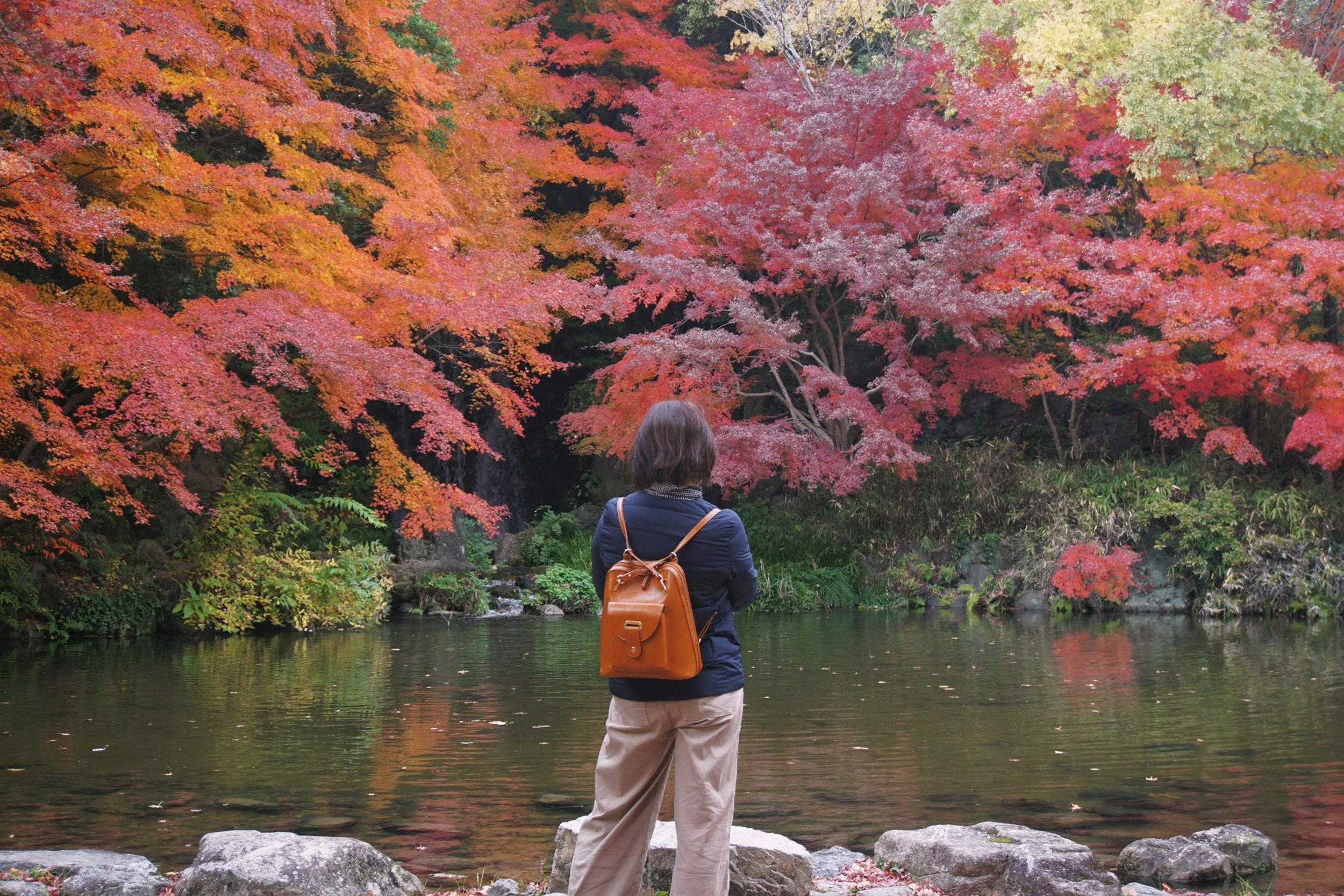 A woman stands by a lake in a park during autumn, surrounded by red, orange, and yellow fall foliage.