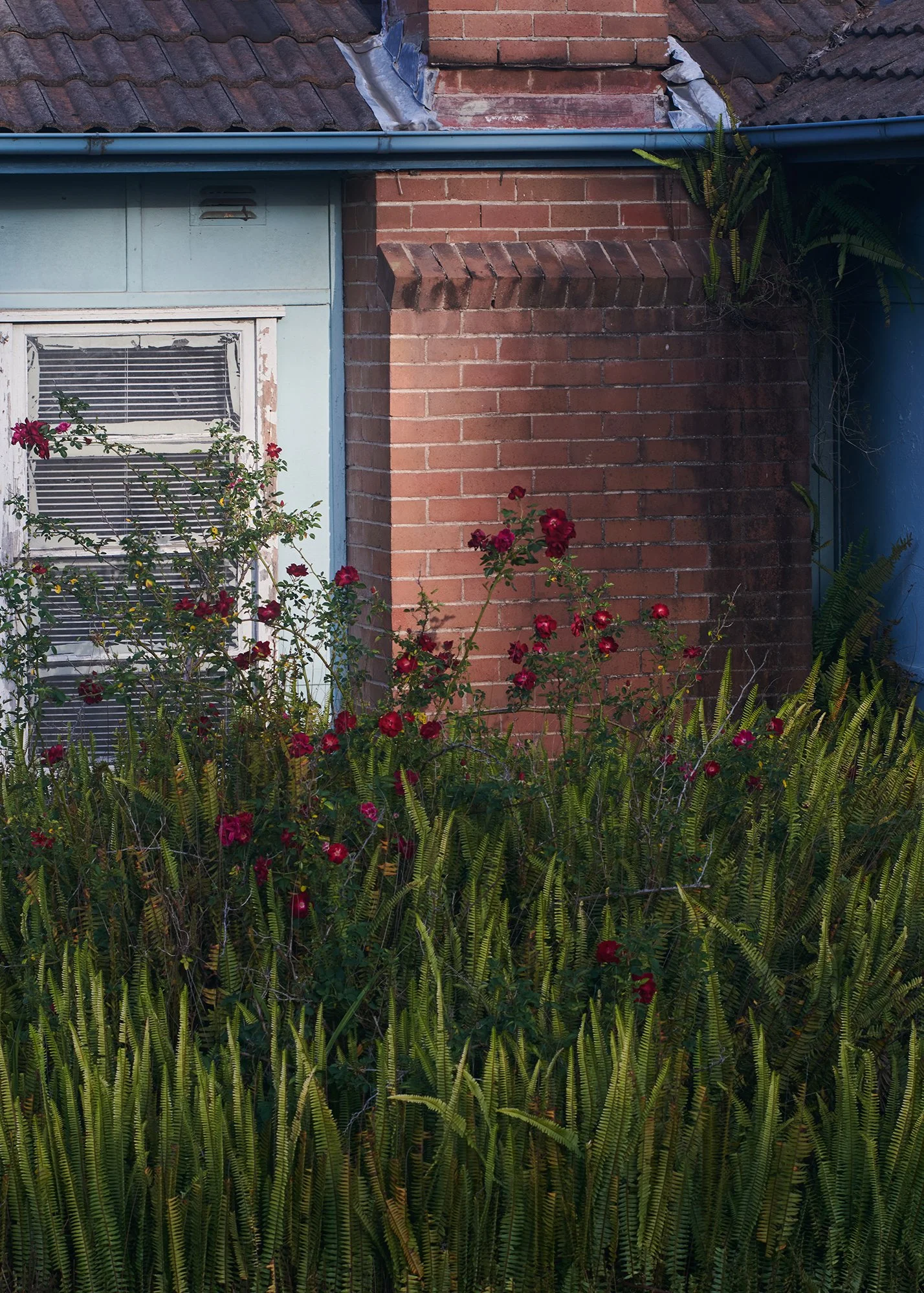 SUB FLORAL_0524.jpg