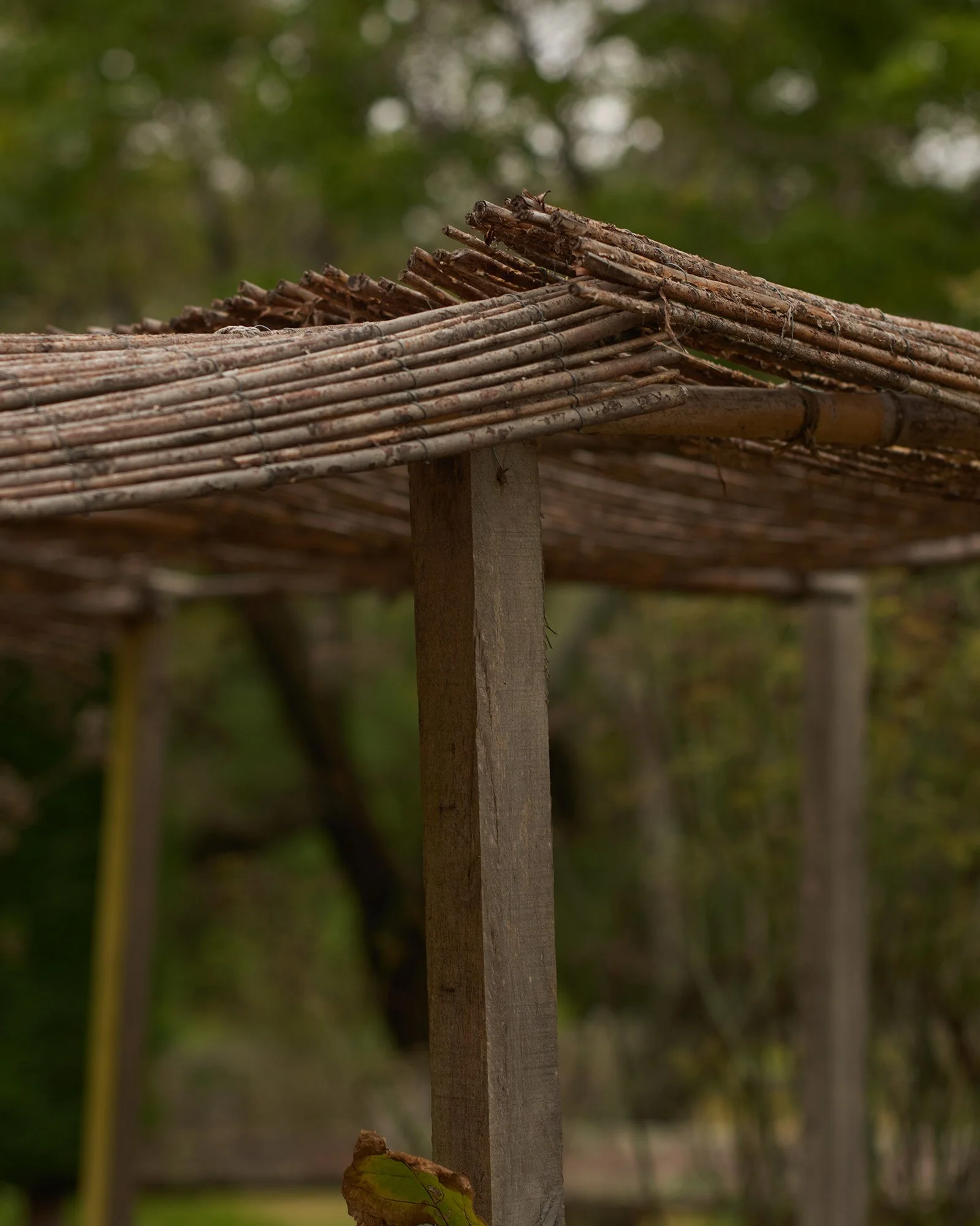 GLENMORE HOUSE_0030.jpg