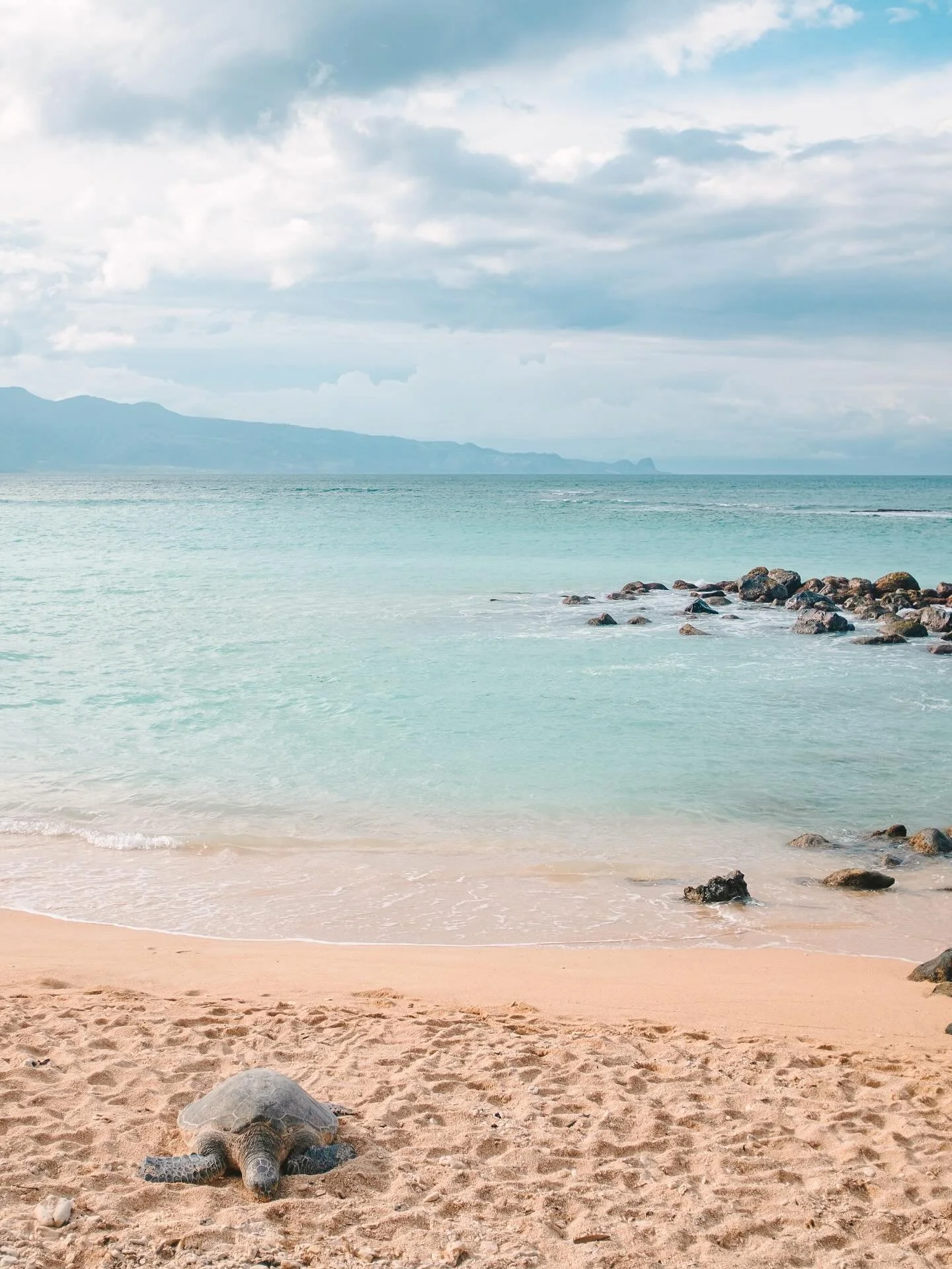 A reminder to slow down and take it all in. 

These quiet moments on the beach are what keep my creative tank full 💗