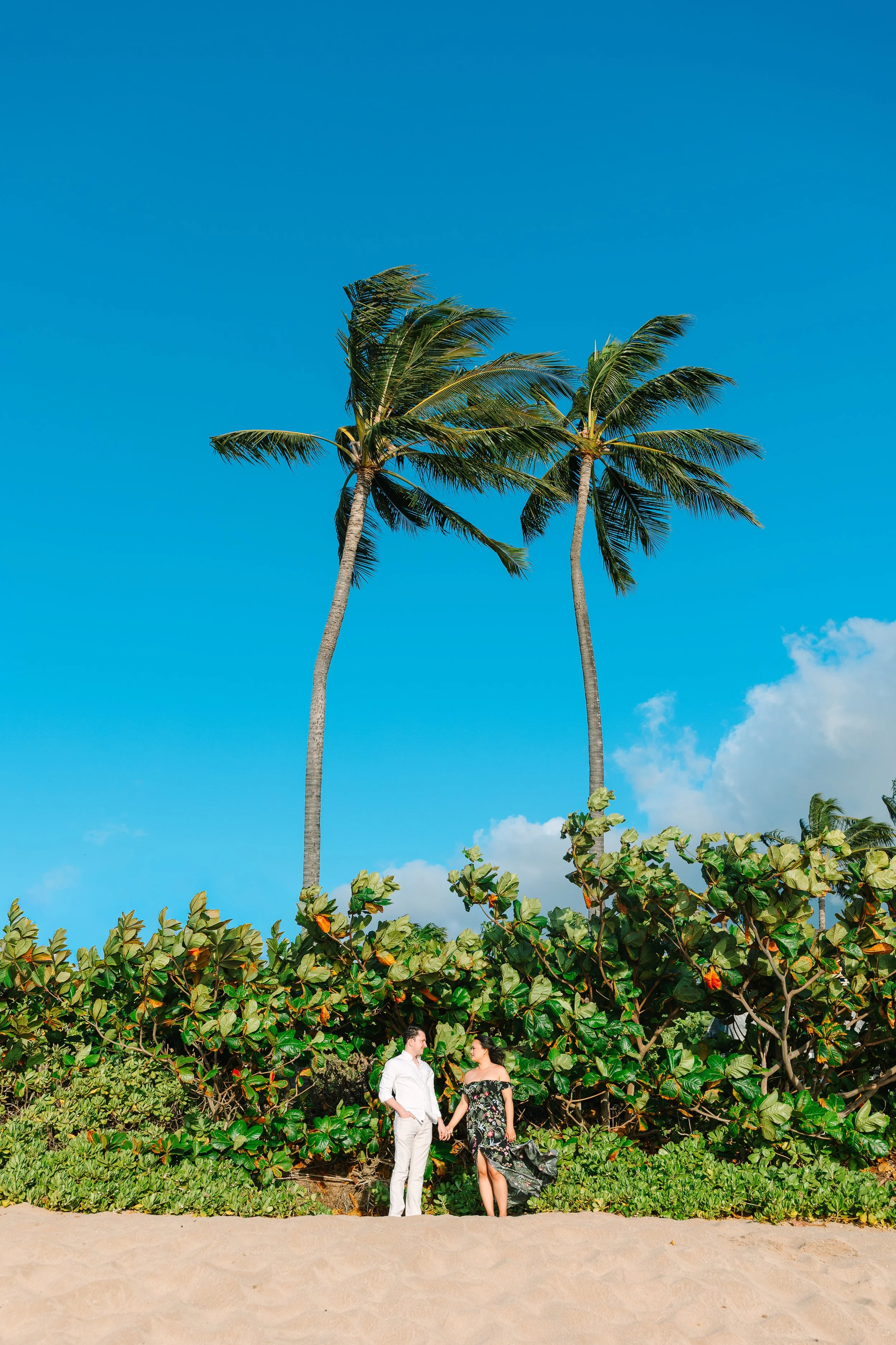 Couple holding hands on the beach with palm trees and lush greenery in the background under a blue sky.