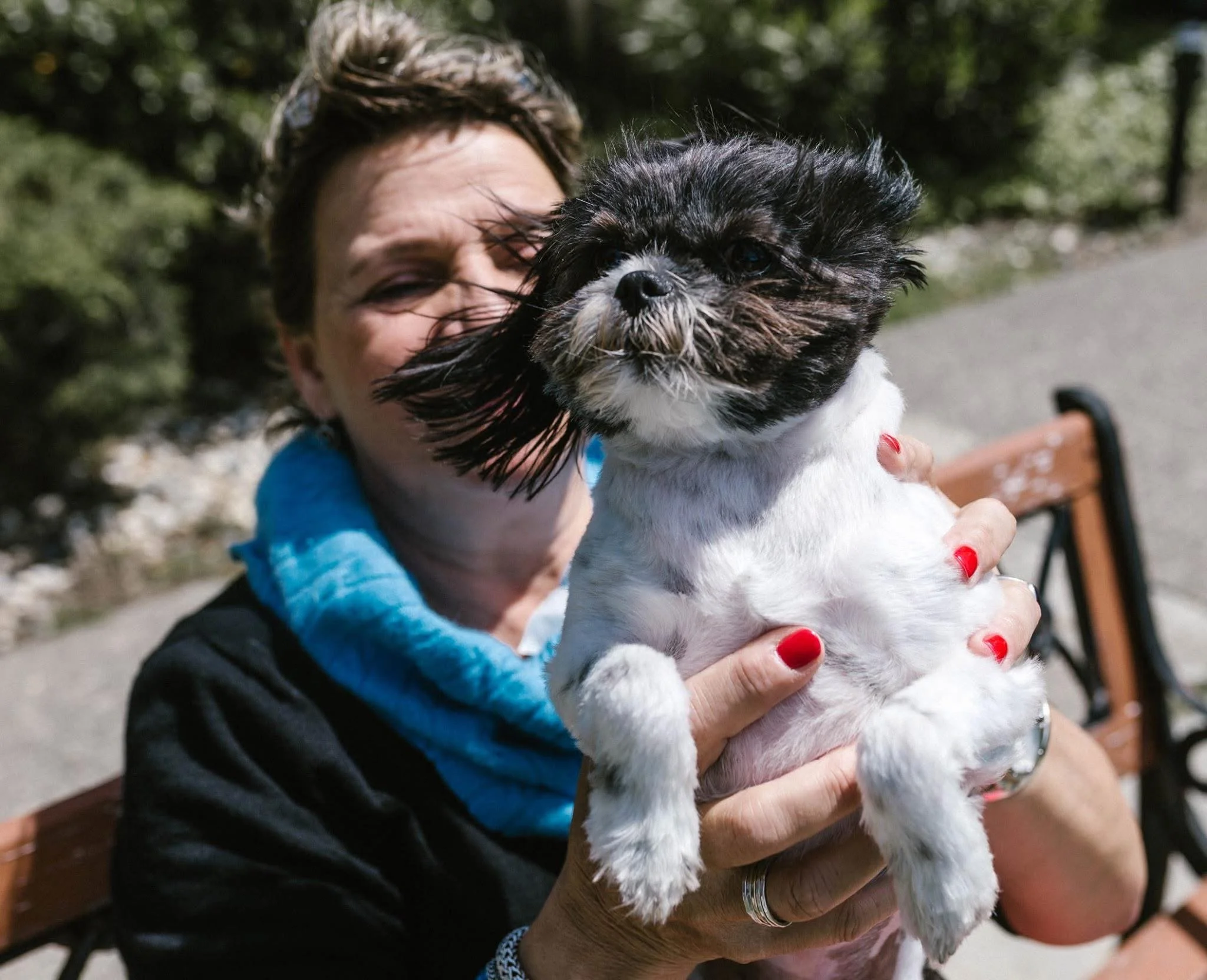 A woman holding a small black and white dog outdoors on a sunny day. The woman's face is slightly blurred, and she has red painted nails and is wearing a black top with a blue scarf. The background shows blurred greenery and a bench.