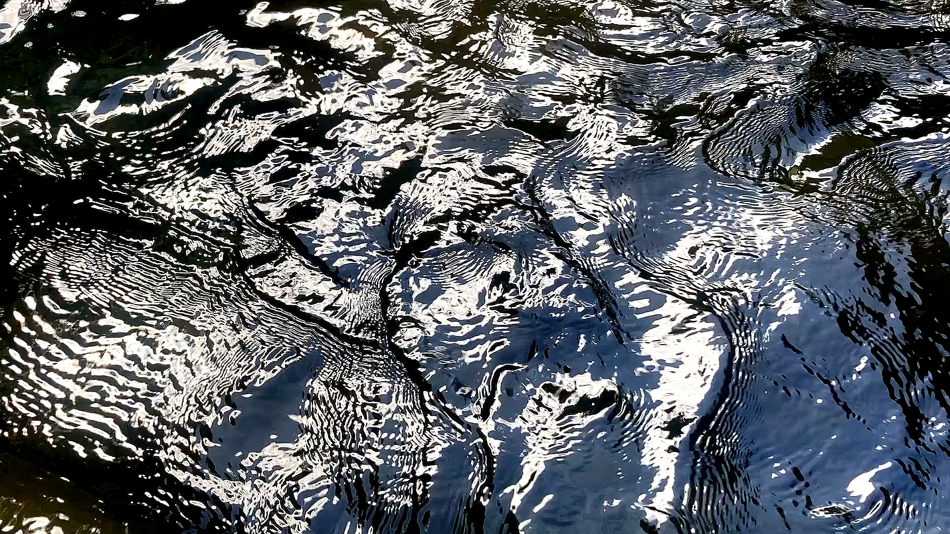 Water.png