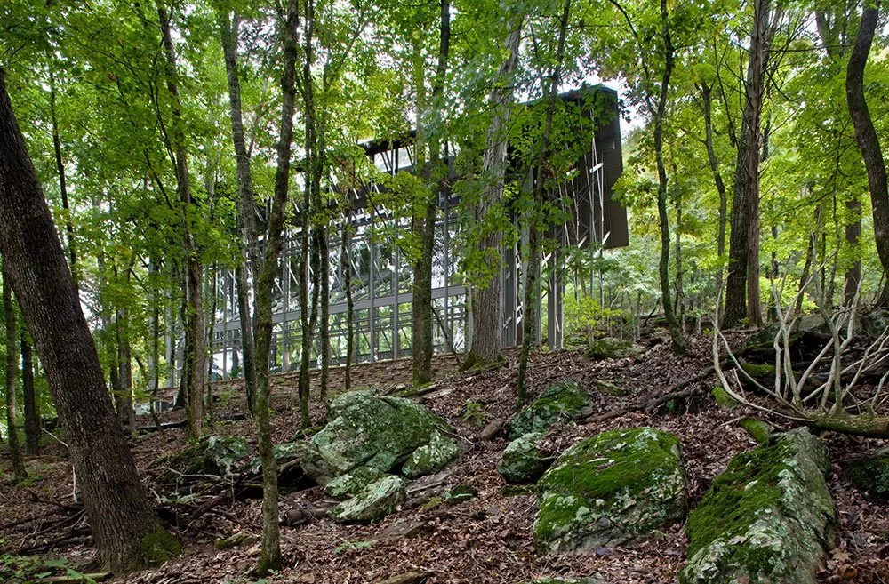 Thorncrown form downhill 