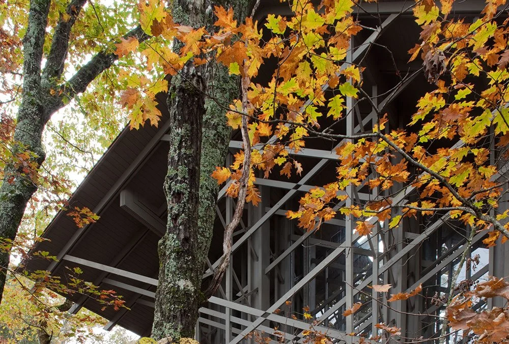 Trusses in Autumn