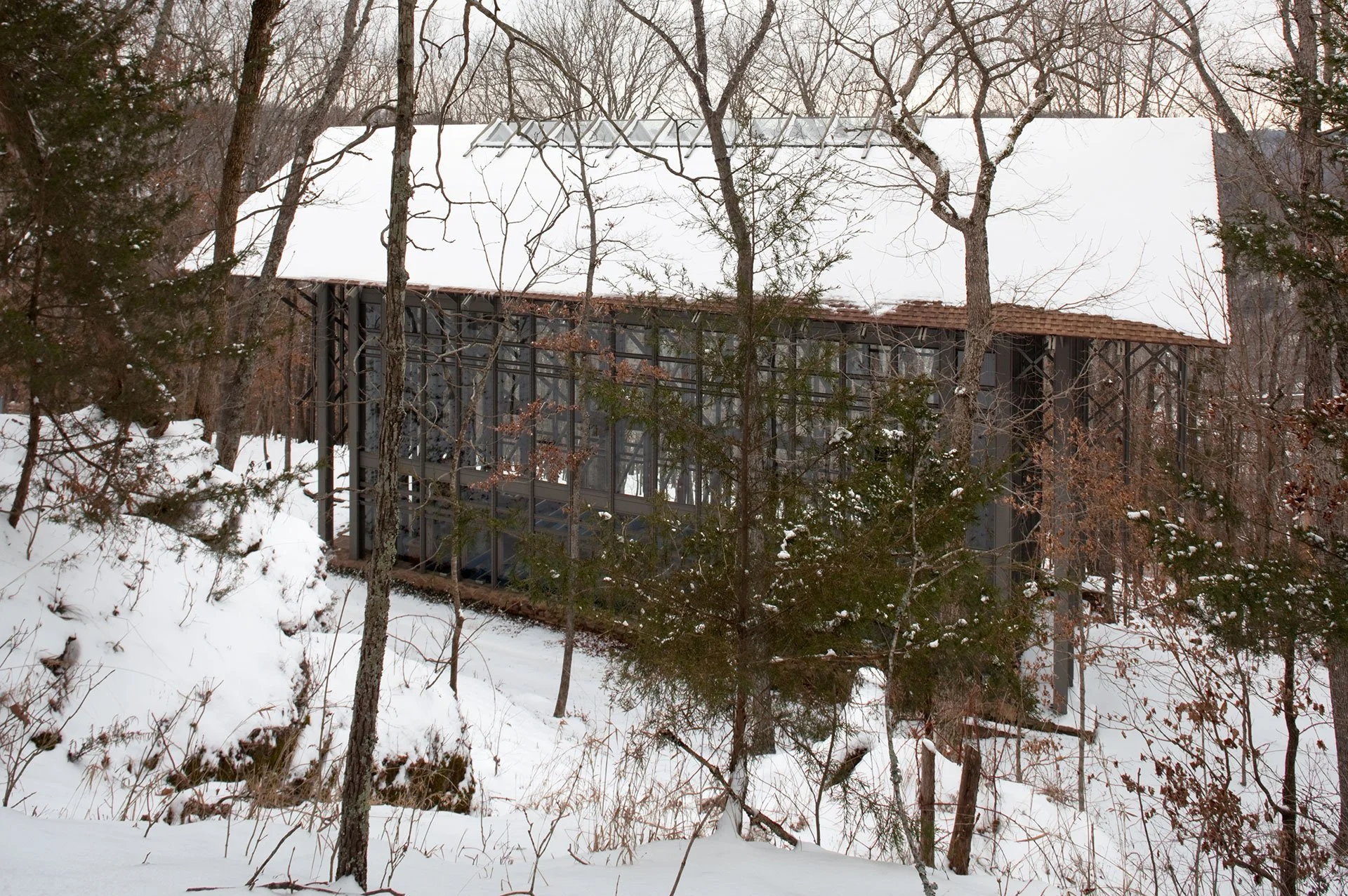 Thorncrown from the side