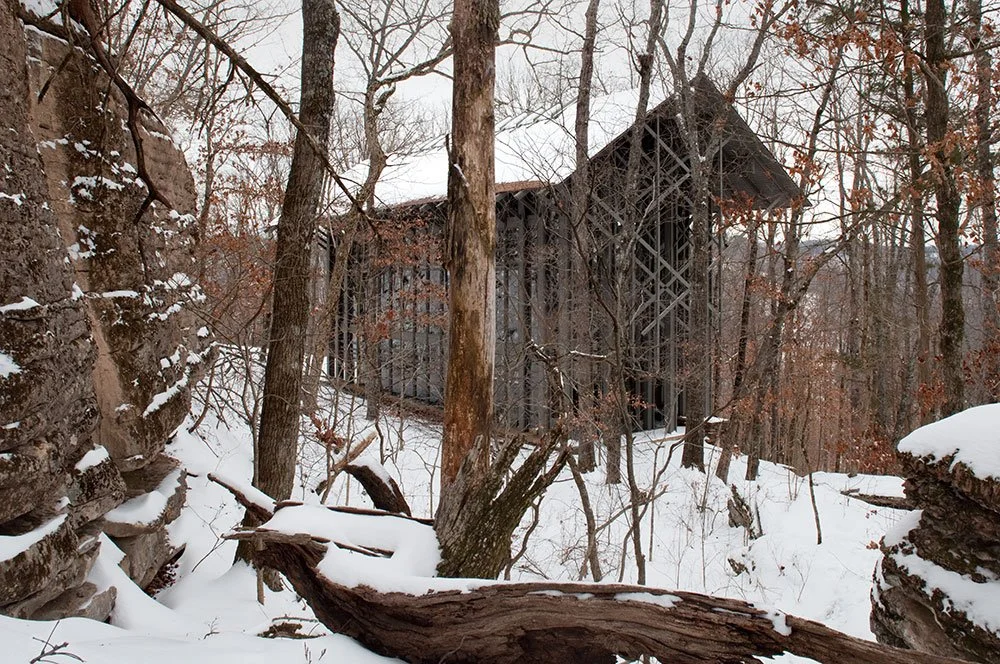 Thorncrown in the snow