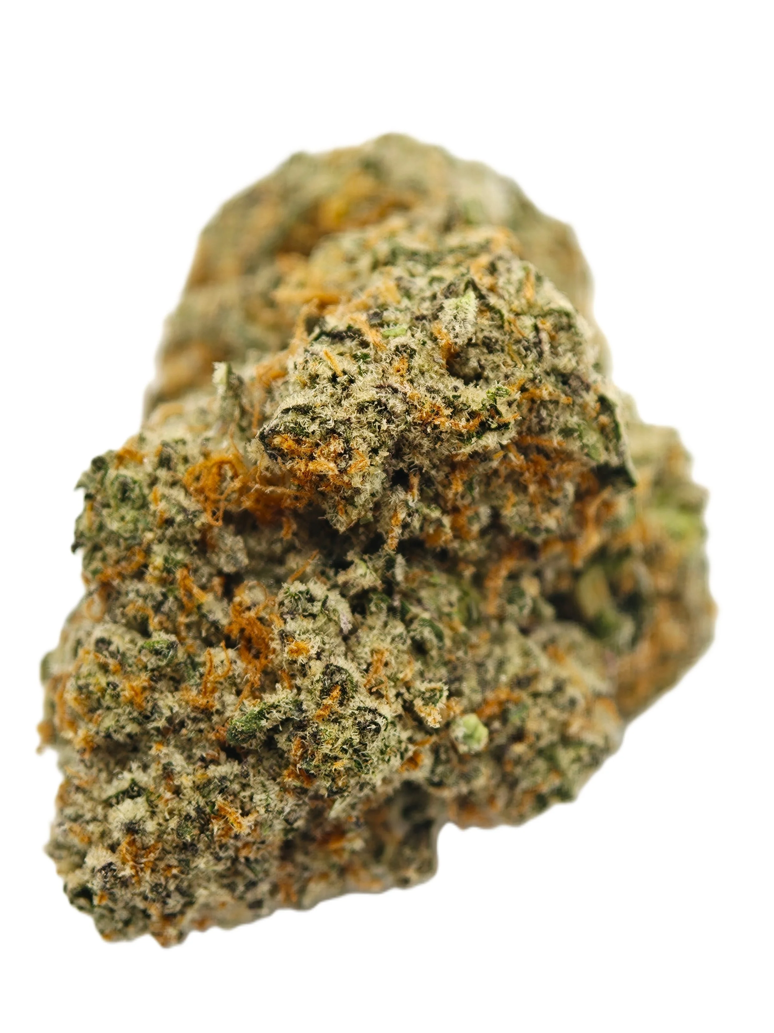 Northern Lights