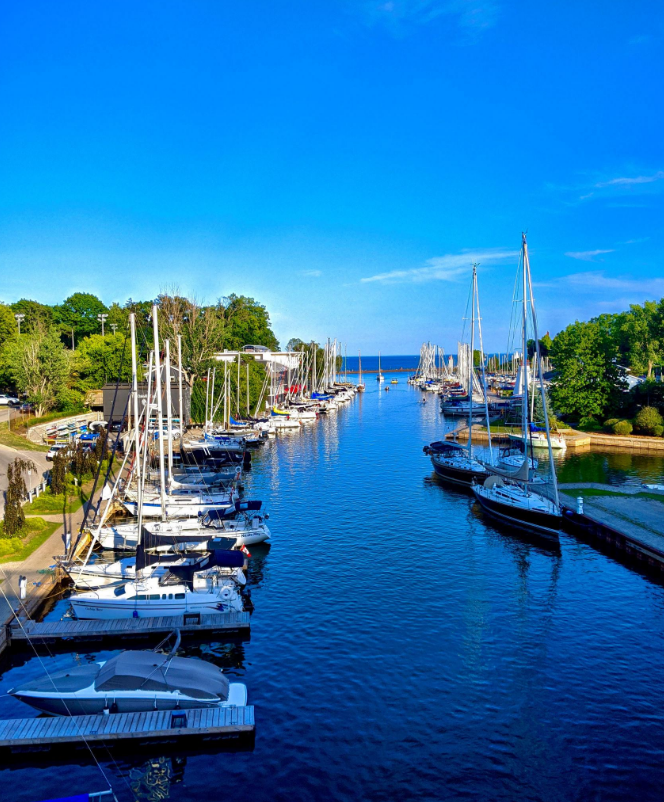 A marina with sailboats docked along calm water, green trees on the sides, and a bright blue sky.