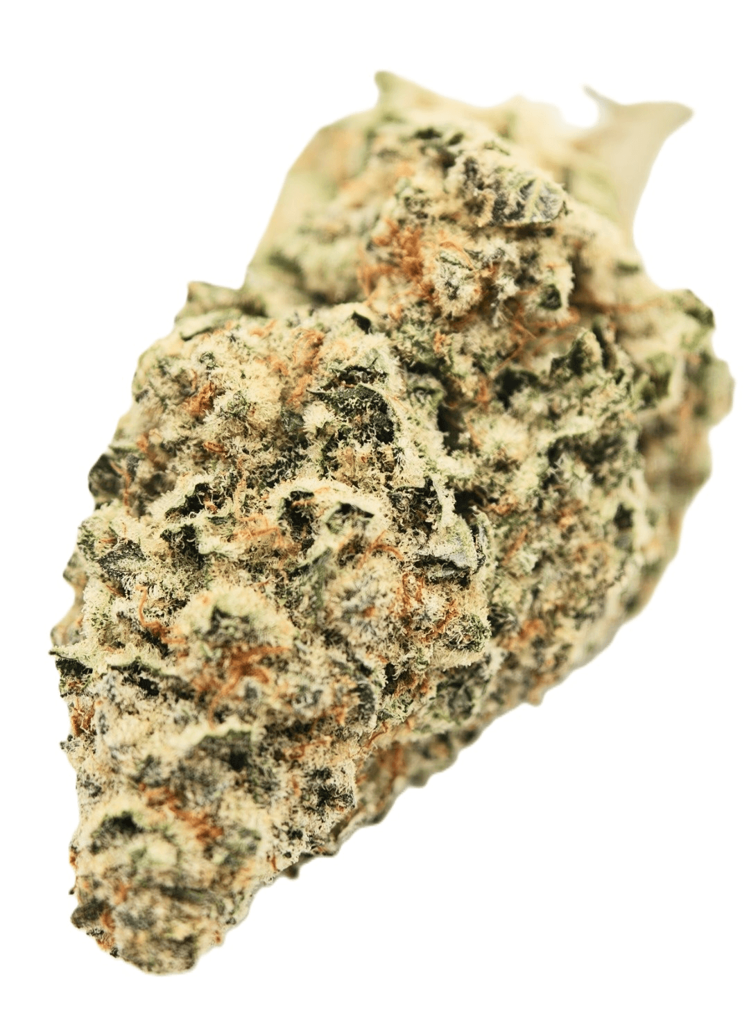 White Widow