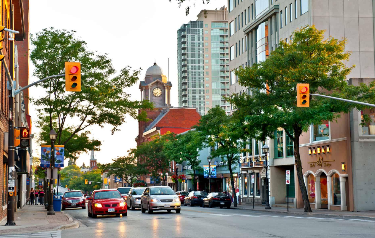 City street scene with cars stopped at a red light, trees lining the sidewalk, and buildings in the background, including a clock tower and modern high-rises.