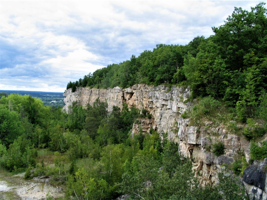 A scenic view of a rocky cliff surrounded by dense green forest under a cloudy sky.