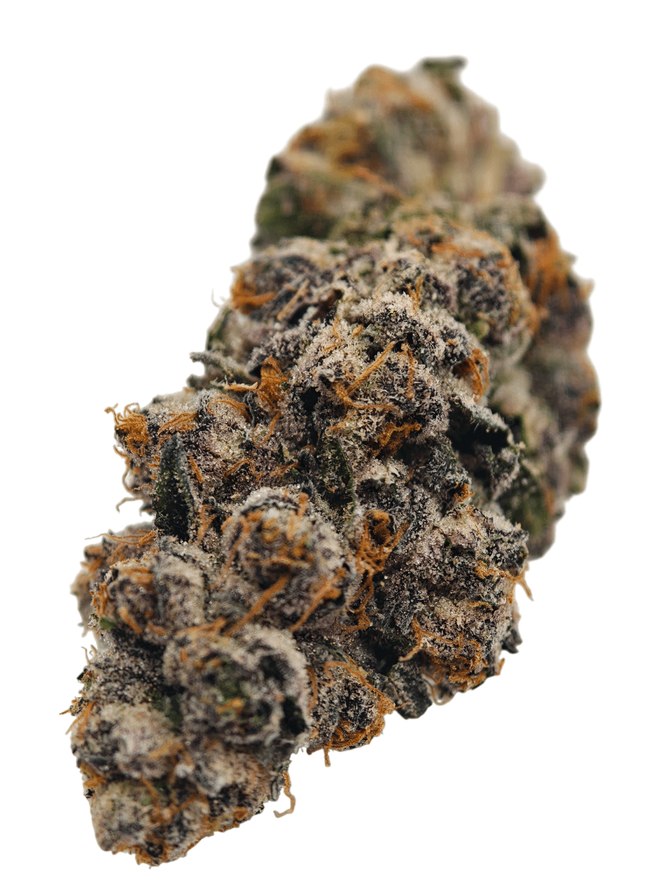 Lucid Blue